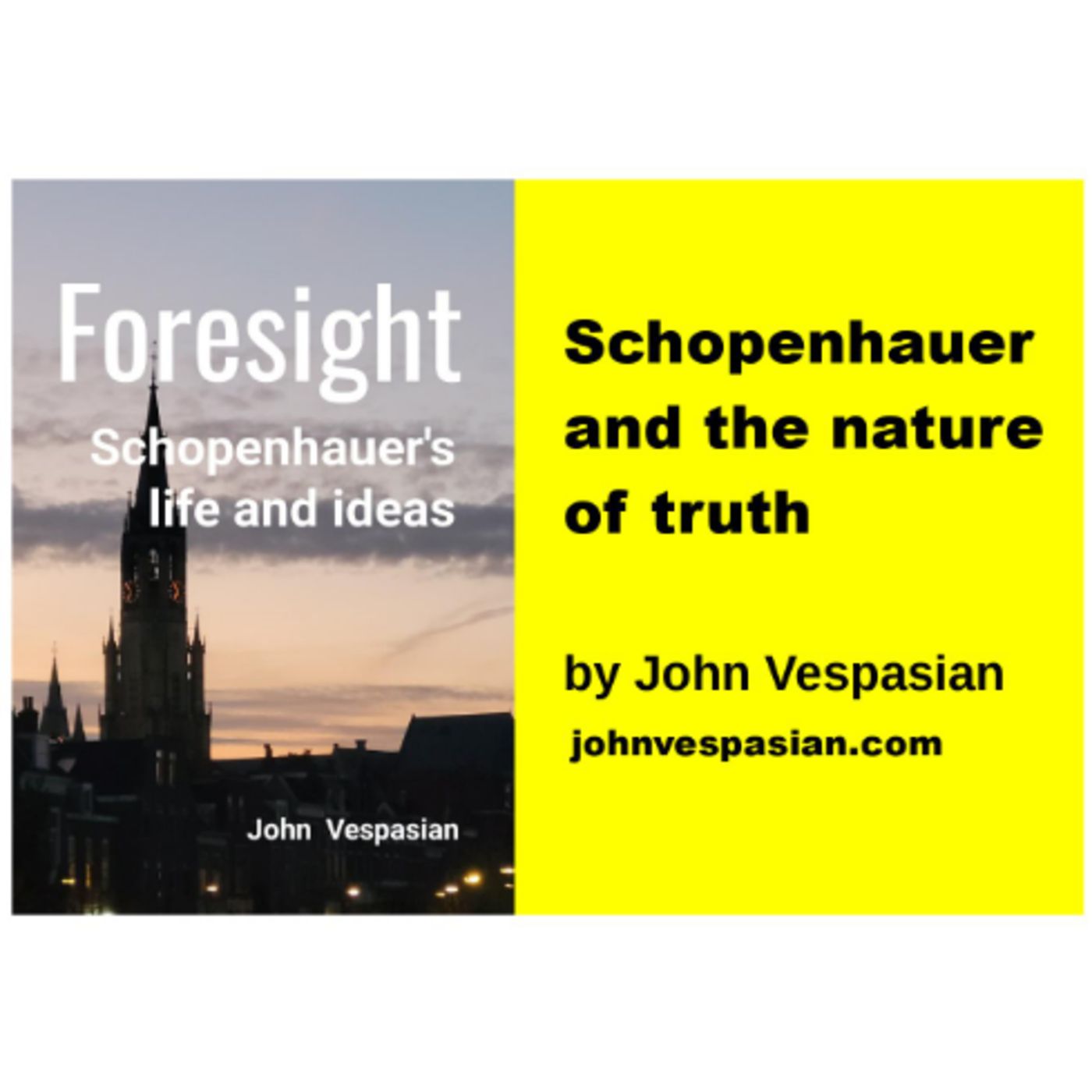 Schopenhauer and the nature of truth episode artwork