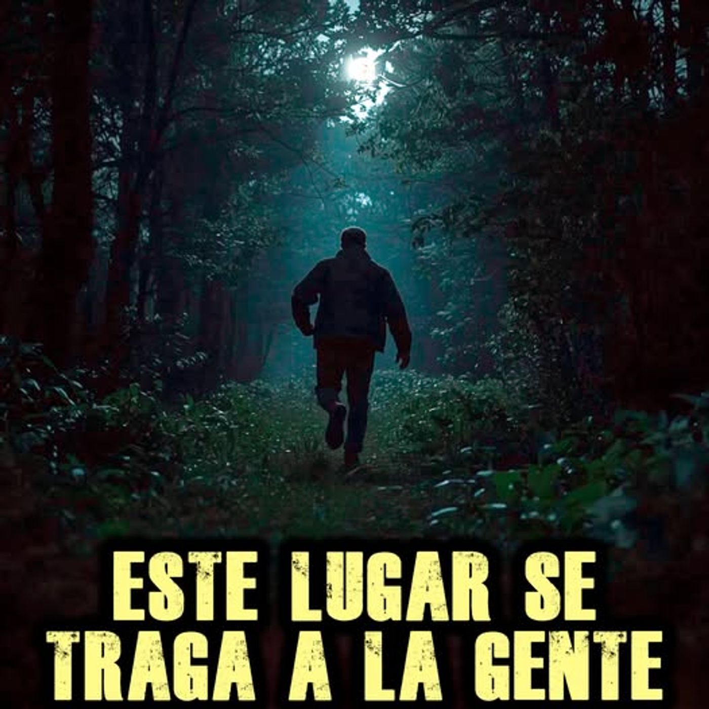Si ESCUCHAS esto en el Bosque CORRE POR TU VIDA missing411 episode artwork