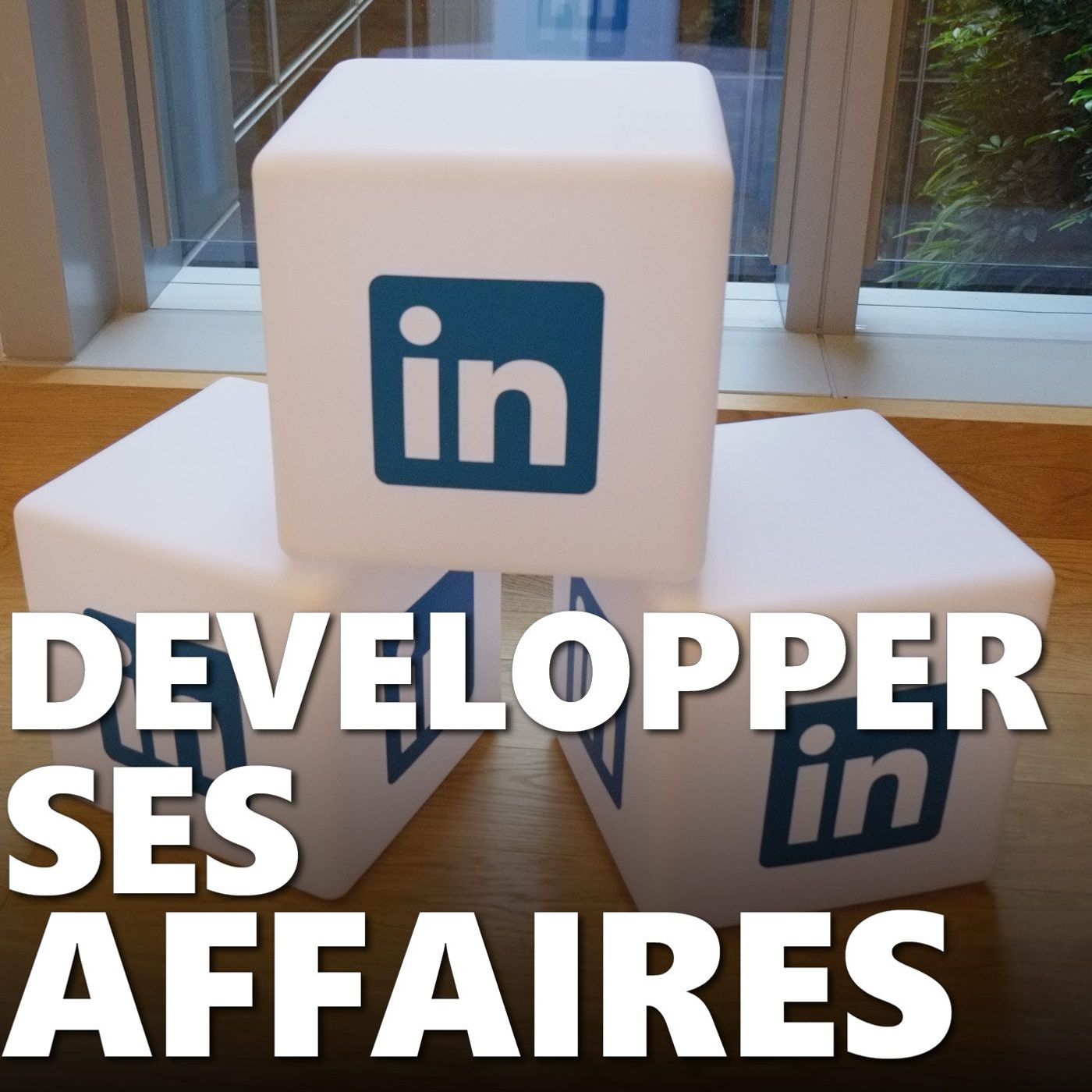 Prospecter en slip, adopter le numérique et en faire son allié #147