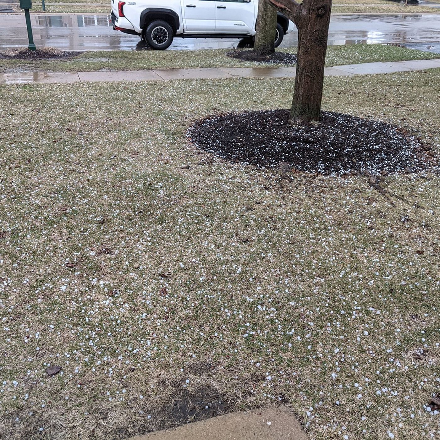 Thunderstorm watch for Grundy and Kendall counties