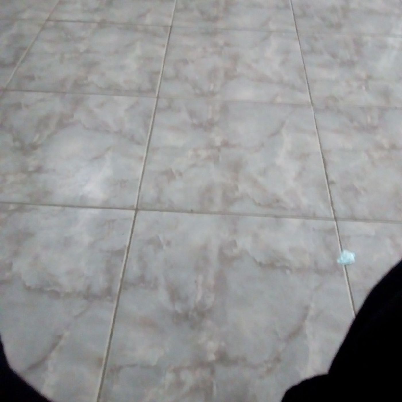 Rafael Queiroz\'s show