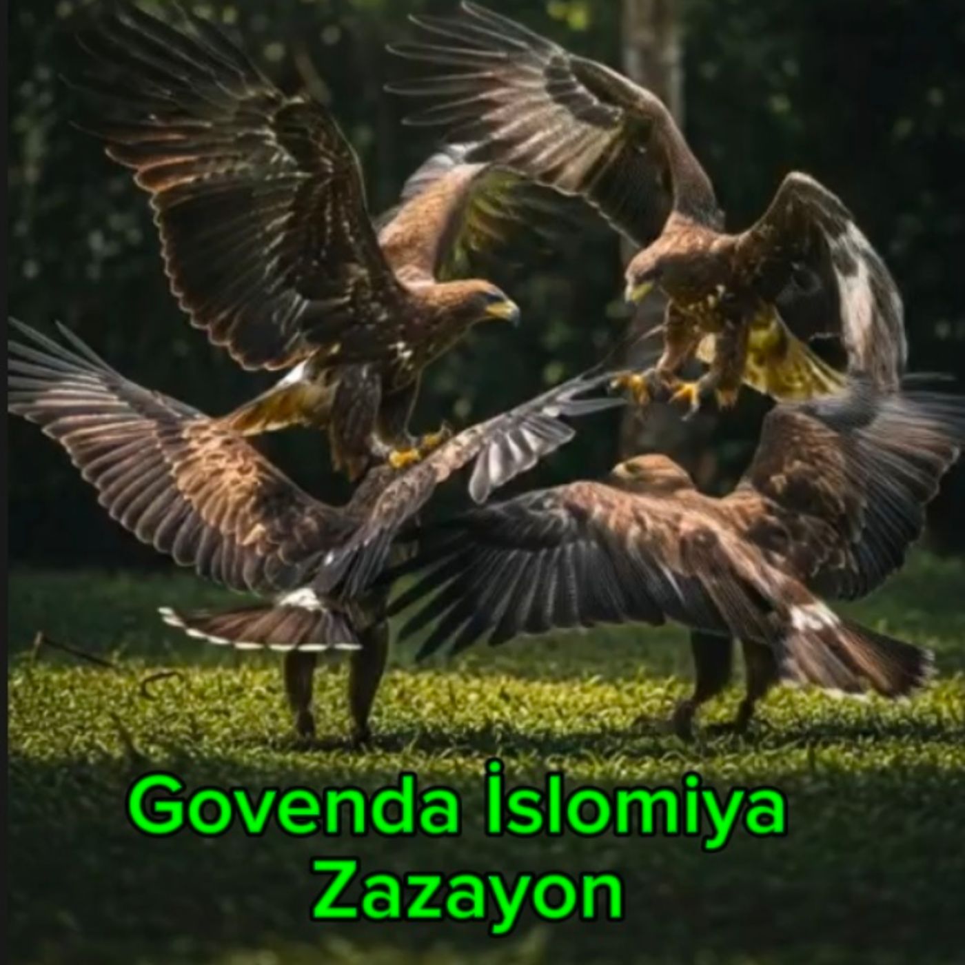 Govenda İslomi 5 episode artwork