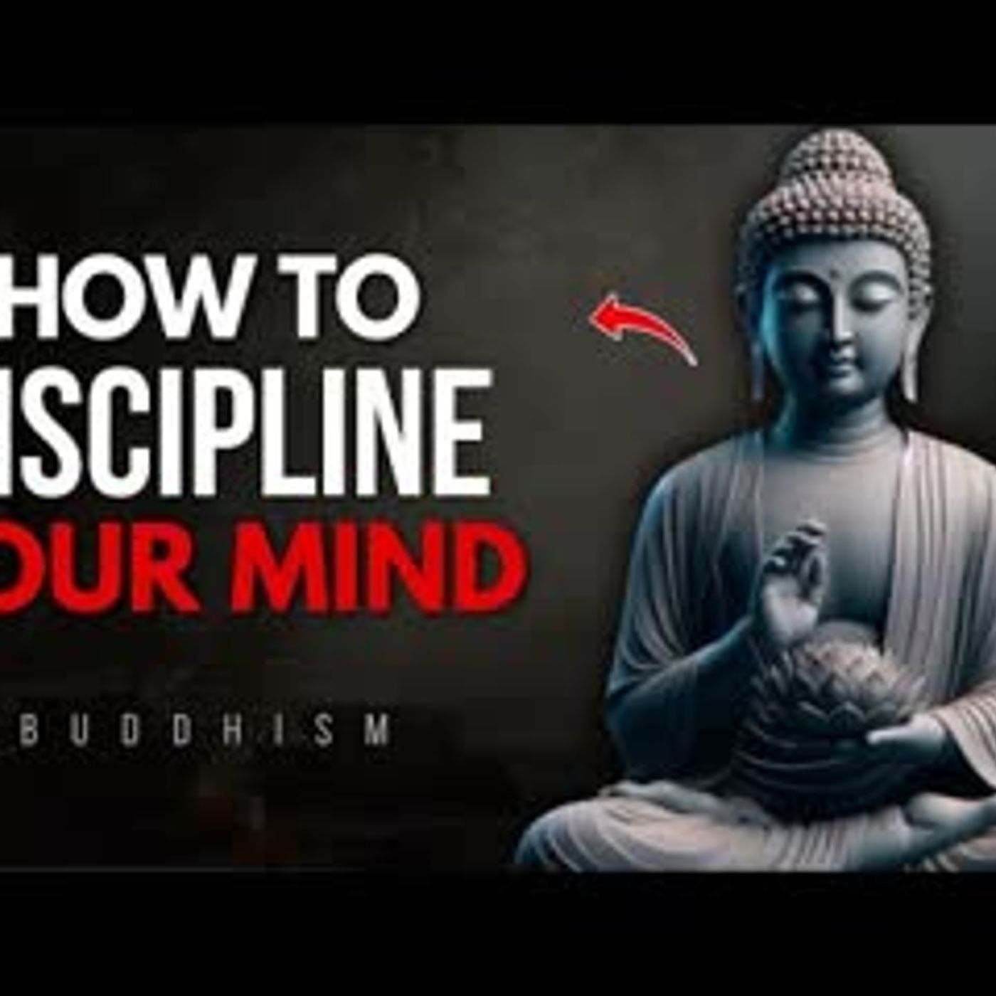 How to Discipline Your Mind   Buddhist Wisdom for Peace