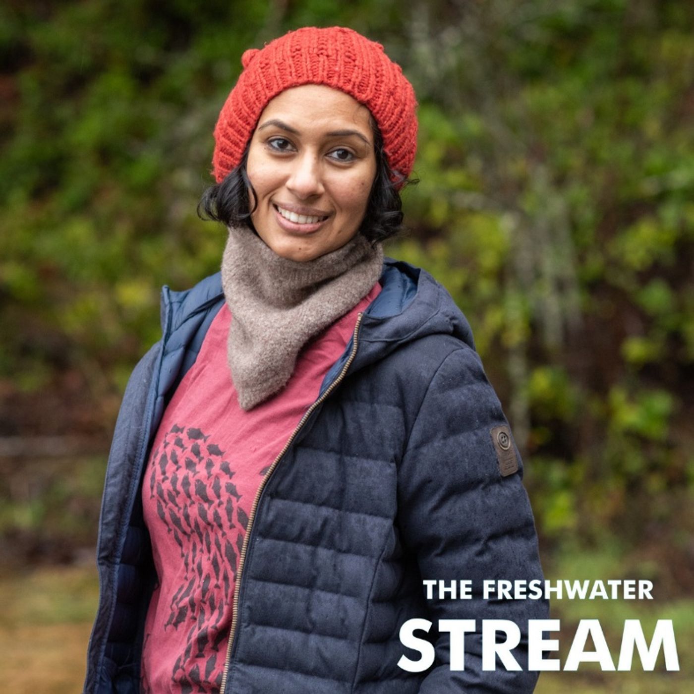 Freshwater Stream