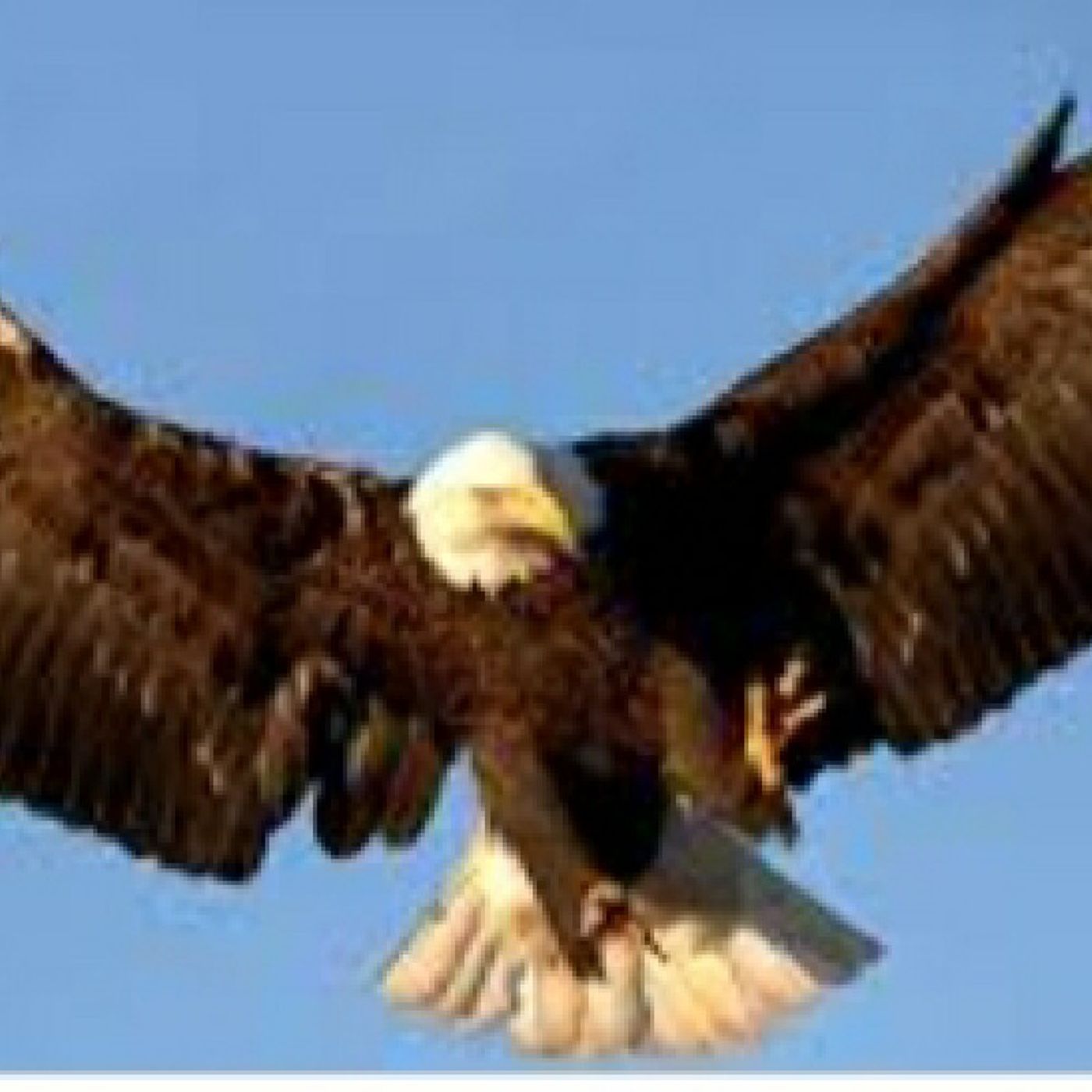 Reflexiones De Restauracion Para Tu Alma