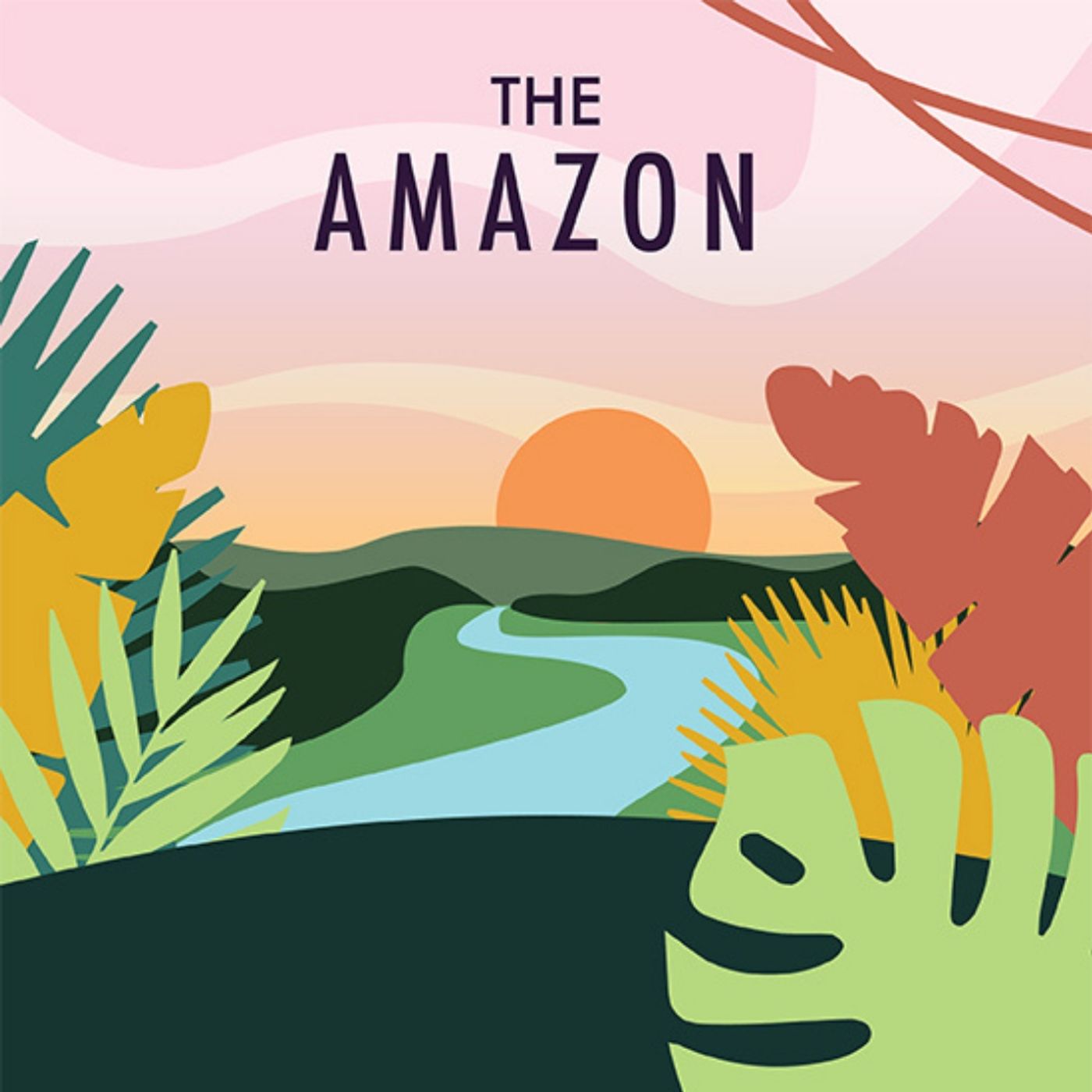 Wonders in the Rain Forest