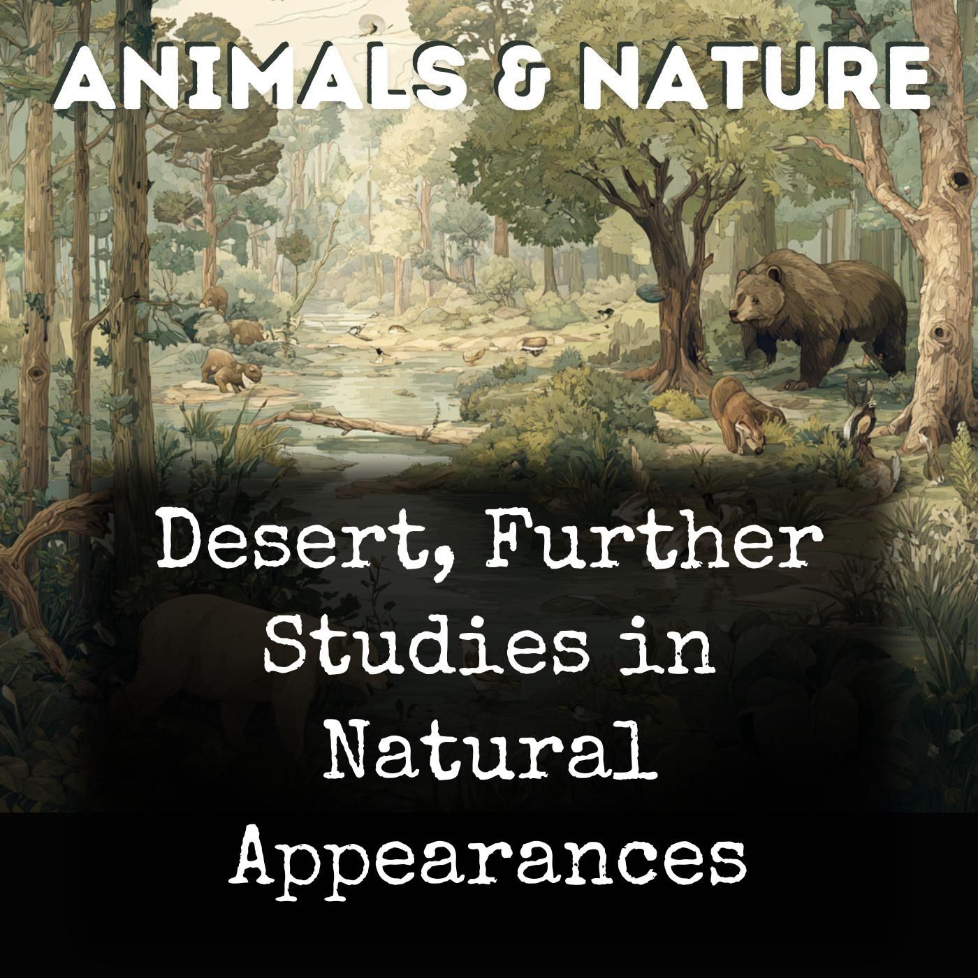Desert, Further Studies in Natural Appearances cover art