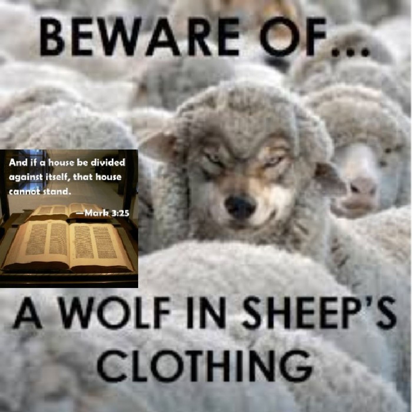 THE FALSE PROPHET'S HAVE DIVIDED THE BROTHERHOOD OF YAHWEH! HE IS FURIOUS! IF U HEED TO THEM U WILL BE PUNISHED! episode artwork