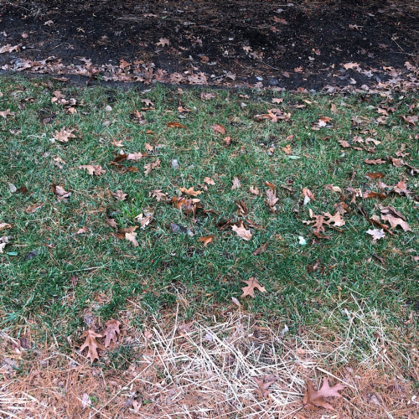 Justin Finkelstein Talks