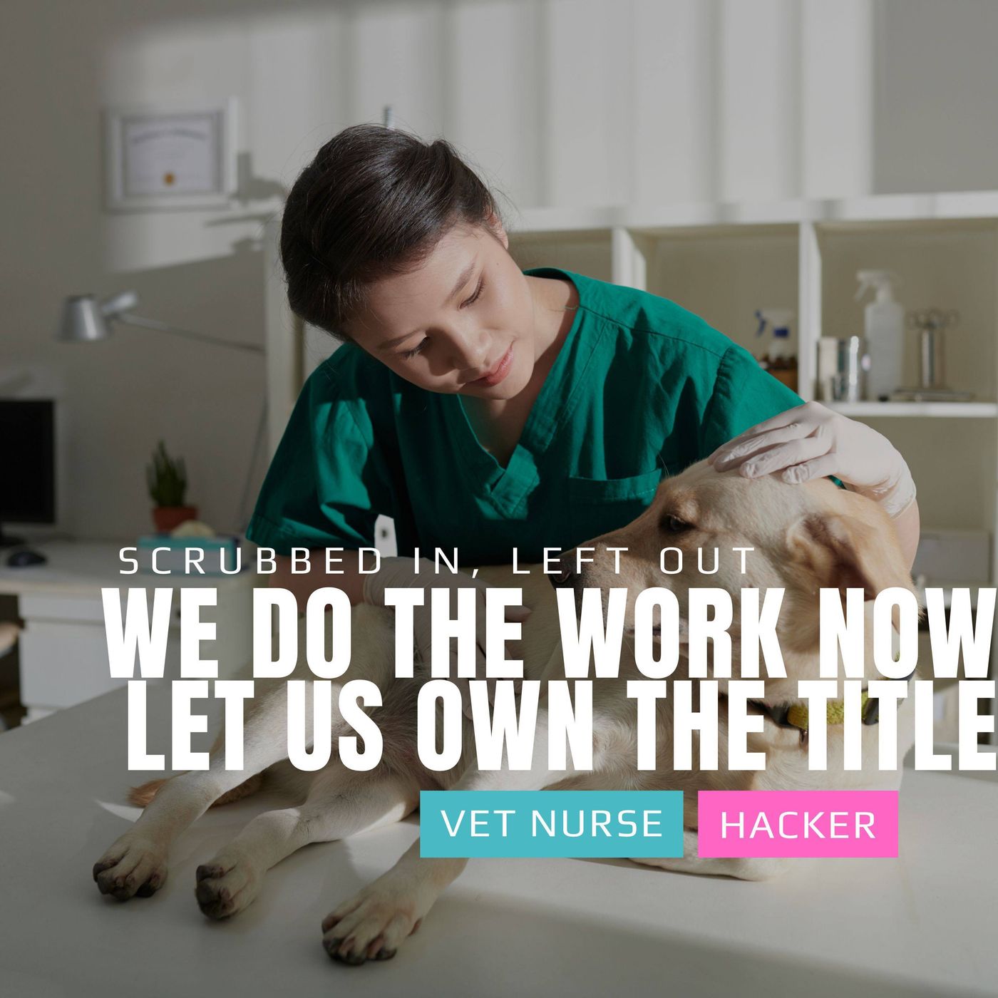 The Vet Nurse Hacker Podcast