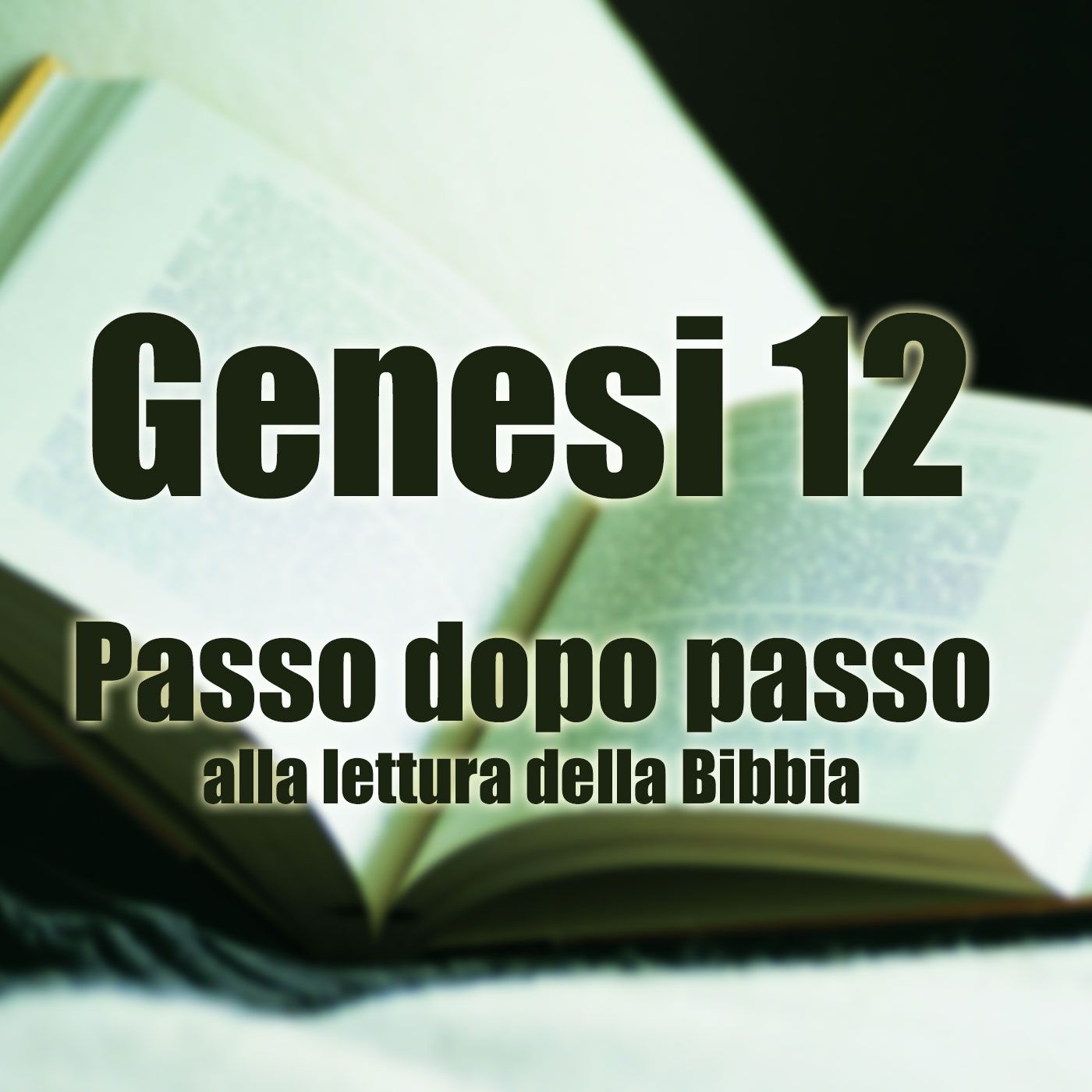Passo dopo passo alla lettura della Bibbia