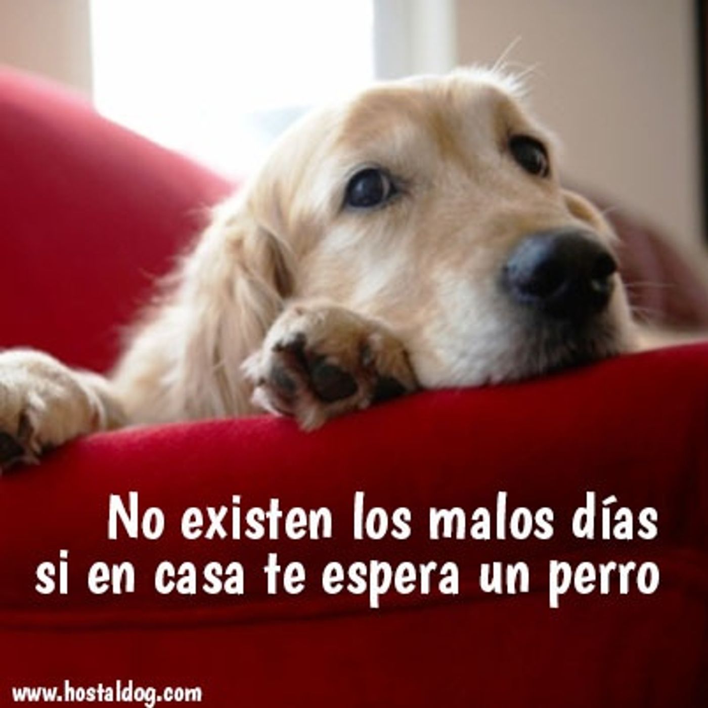 Diana Carolina Suarez G.\'s show