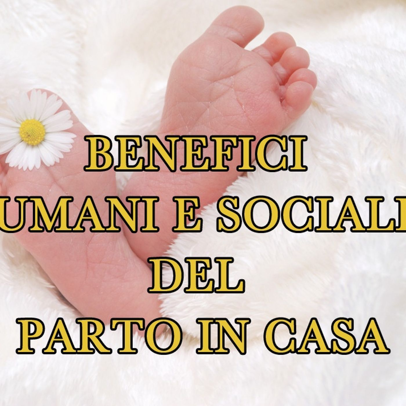 Benefici umani e sociali del parto in casa (con Verena Schmid) episode artwork