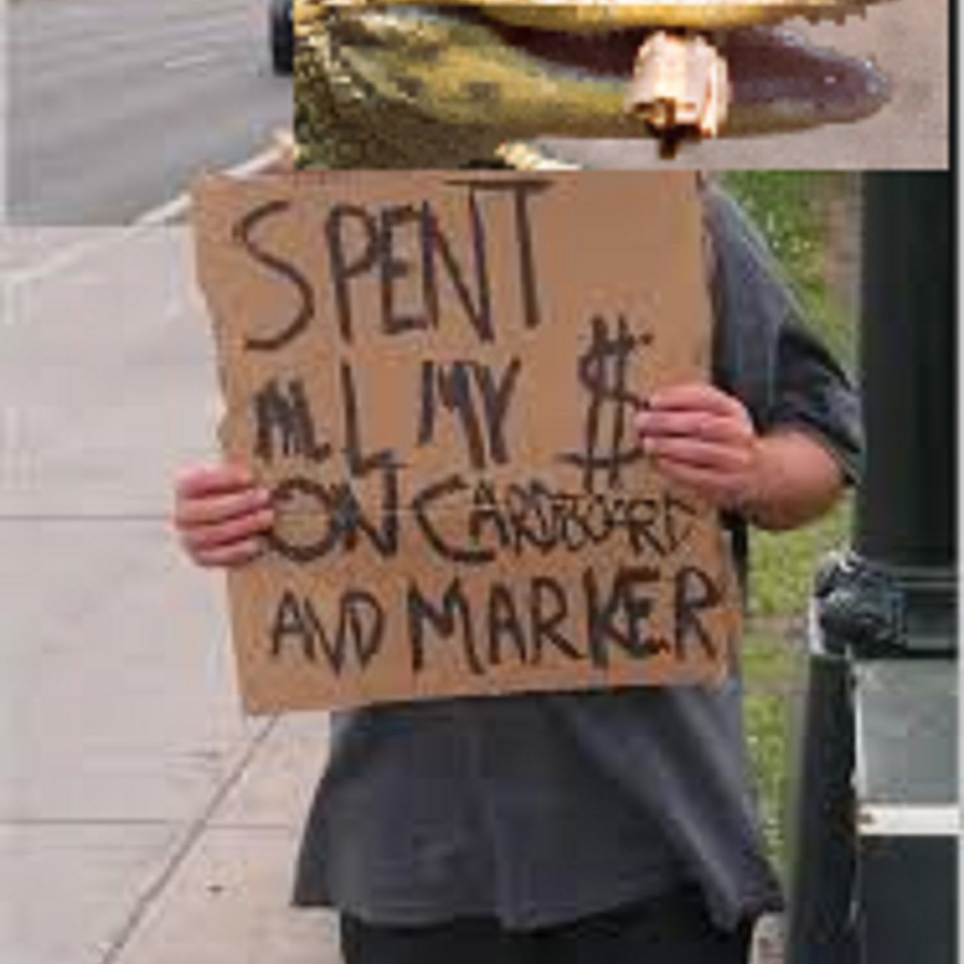 A quick episode, political parallels and surprises, and alligator news