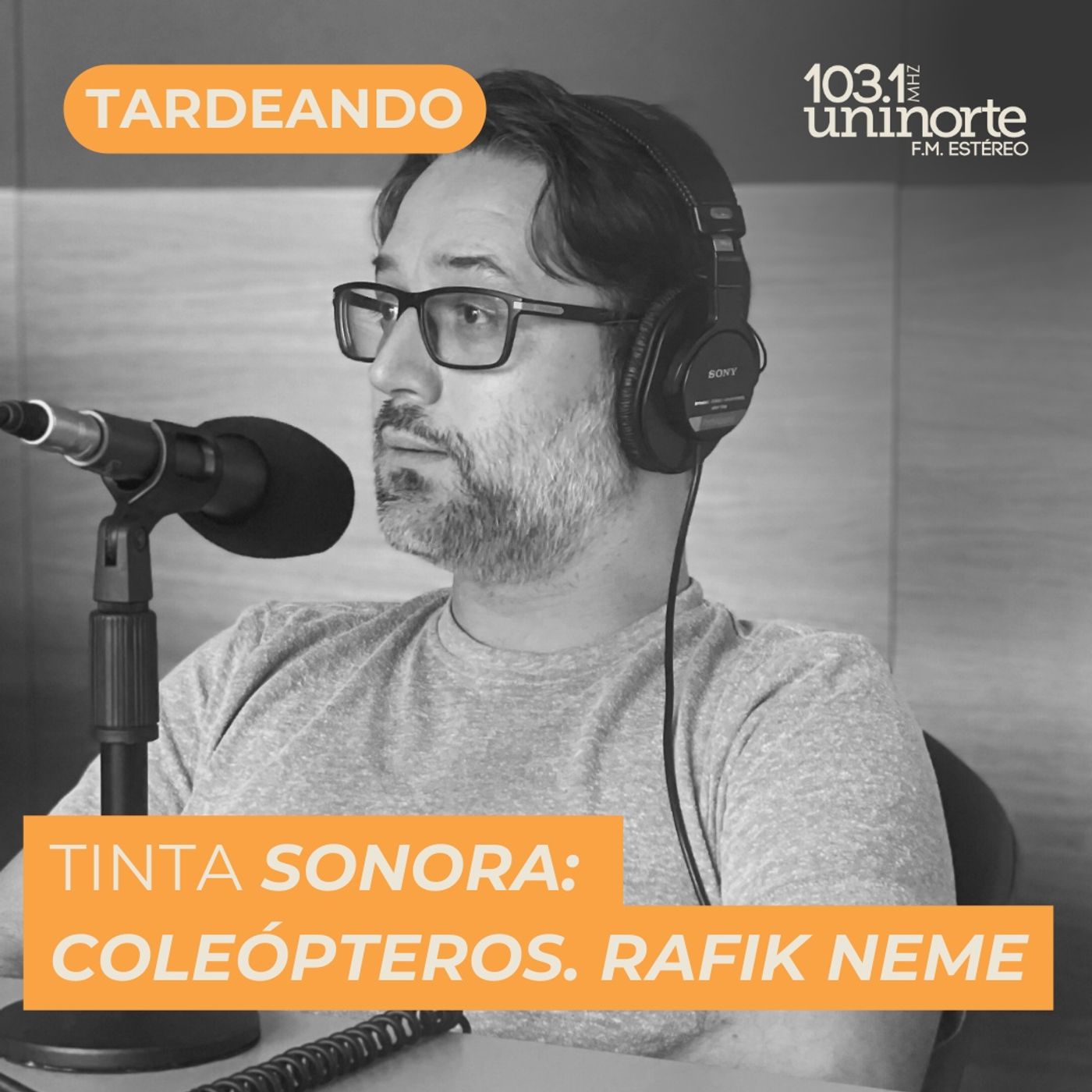 Tinta Sonora :: Coleópteros. INVITADO: Rafik Neme episode artwork