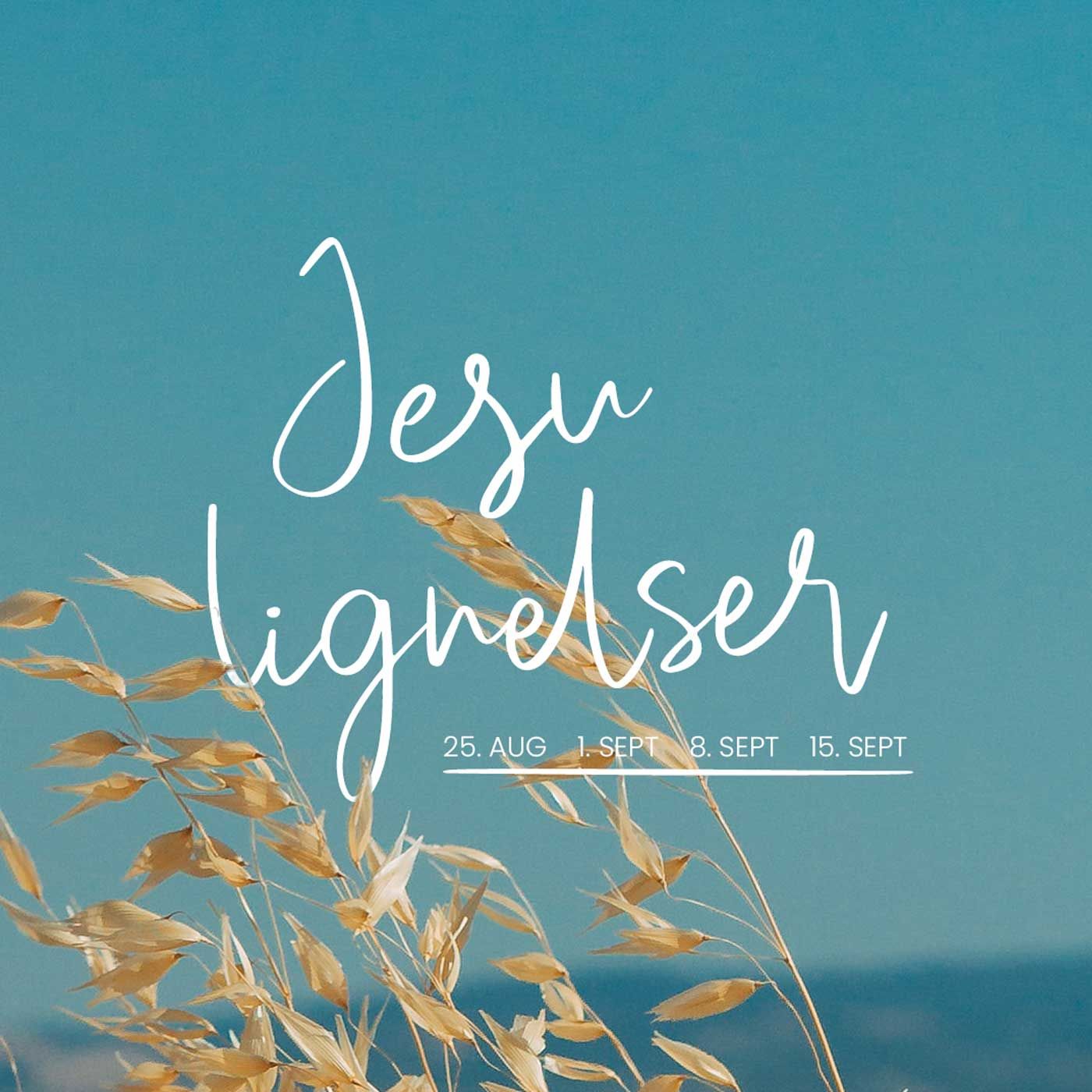 Jan Kjosavik - Jesu lignelser: Skatten i åkeren. Hvor mye er det verdt?