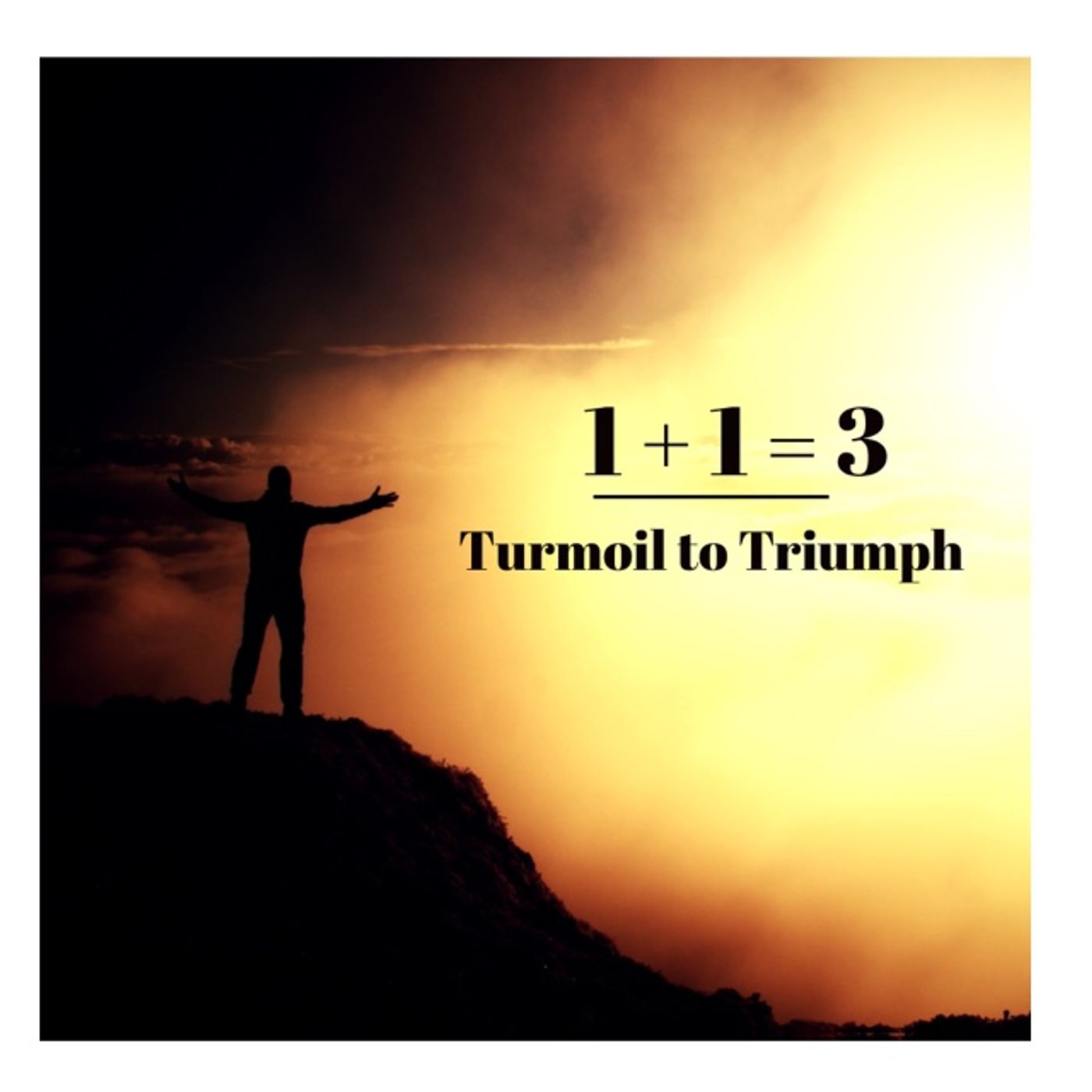 1+1=3 | Turmoil to Triumph