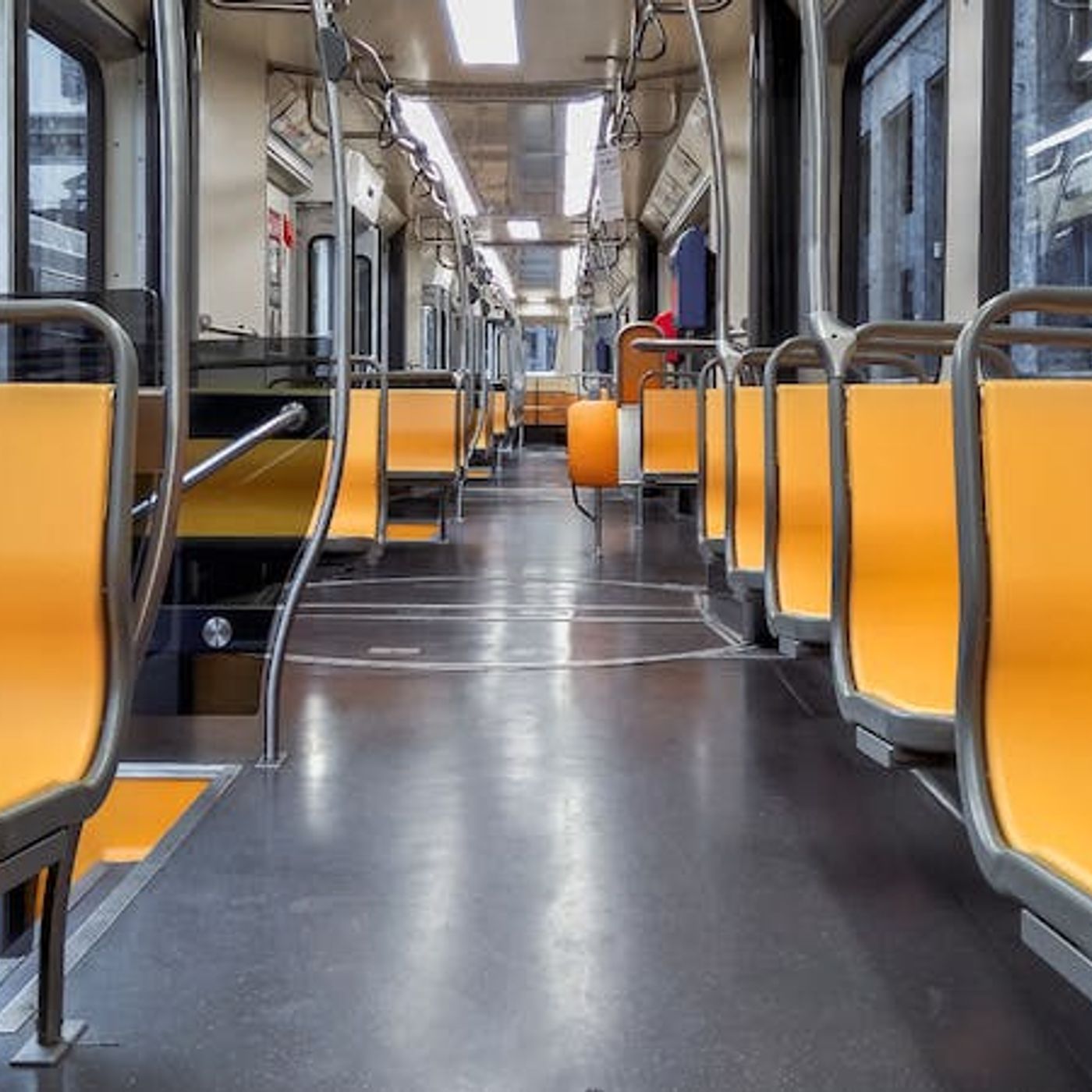 How Do We Make Sense of the Coronavirus?