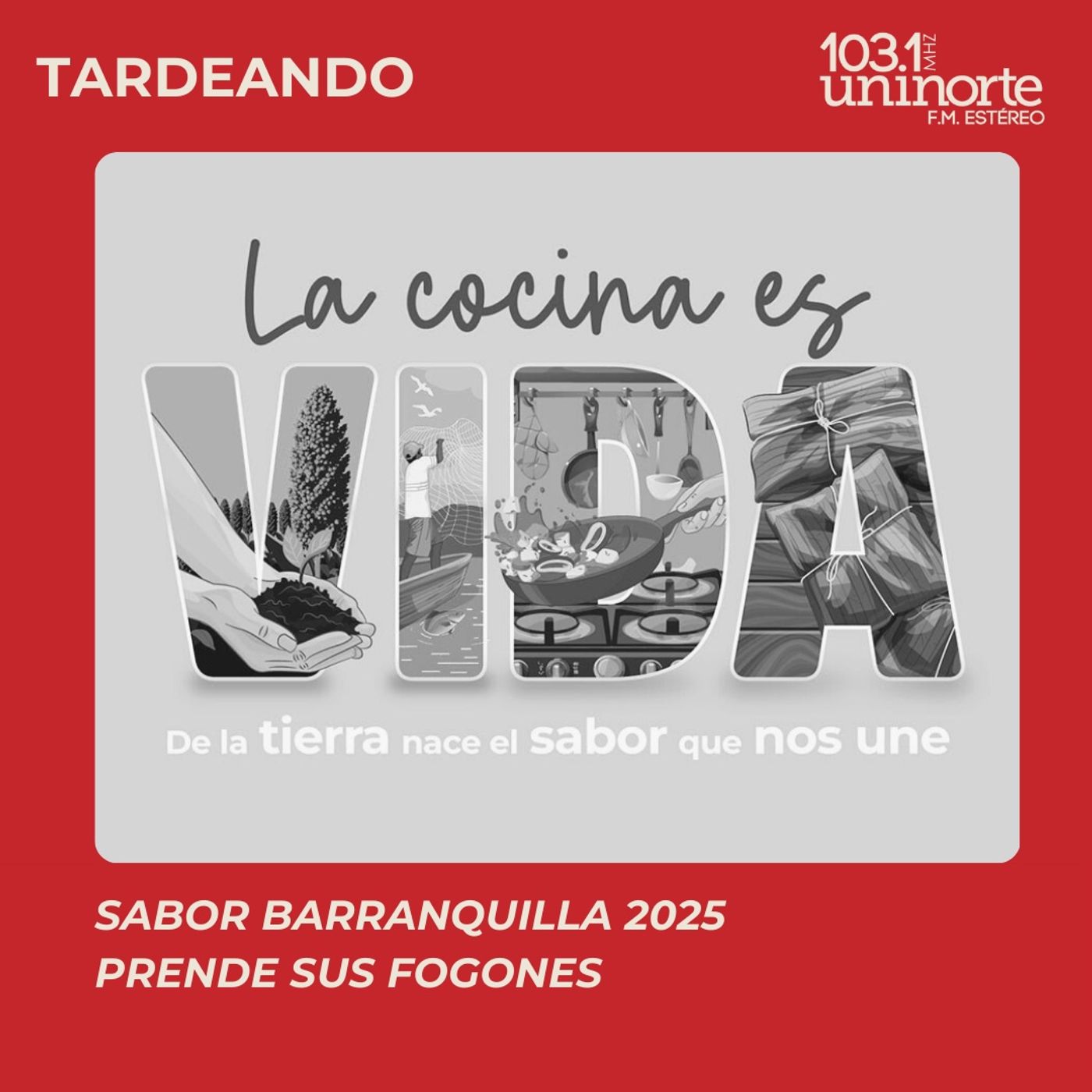 La cocina es vida :: Sabor Barranquilla prende fogones episode artwork