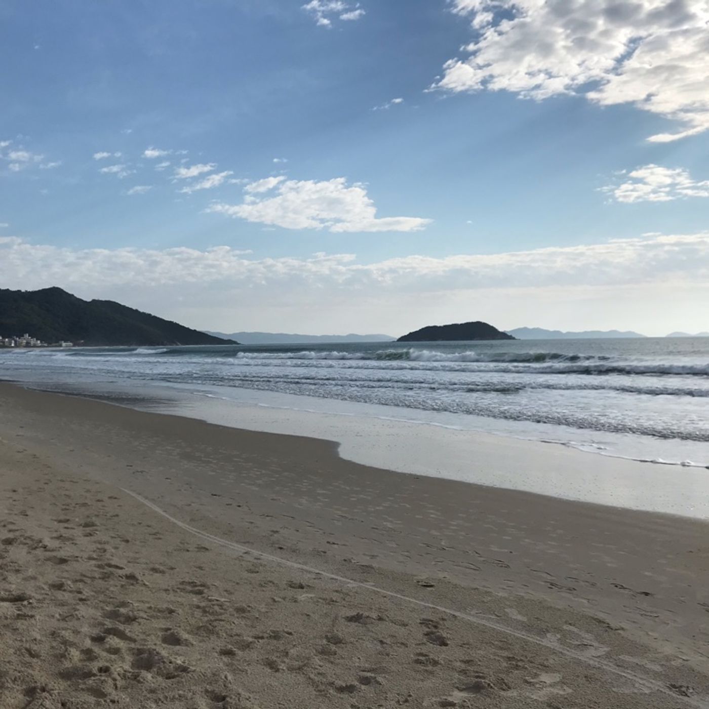 Wagner Martins -