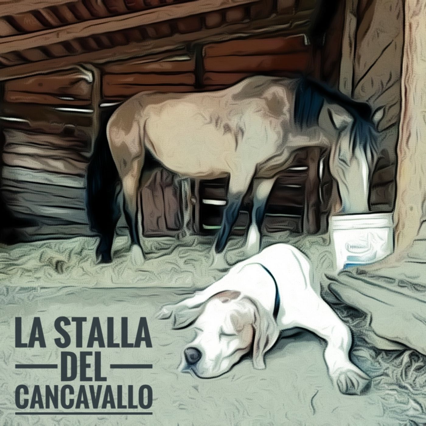 La Stalla del CanCavallo