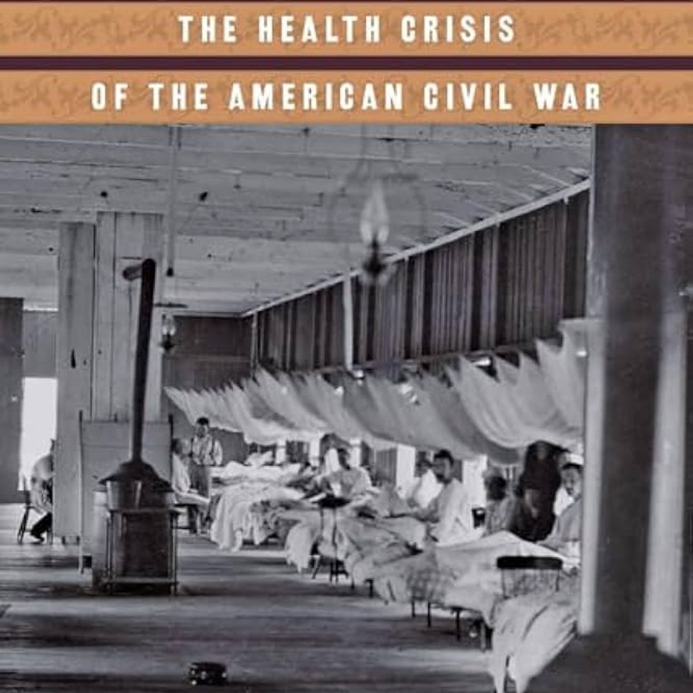 Marrow of Tragedy: The Health Crisis of the American Civil War