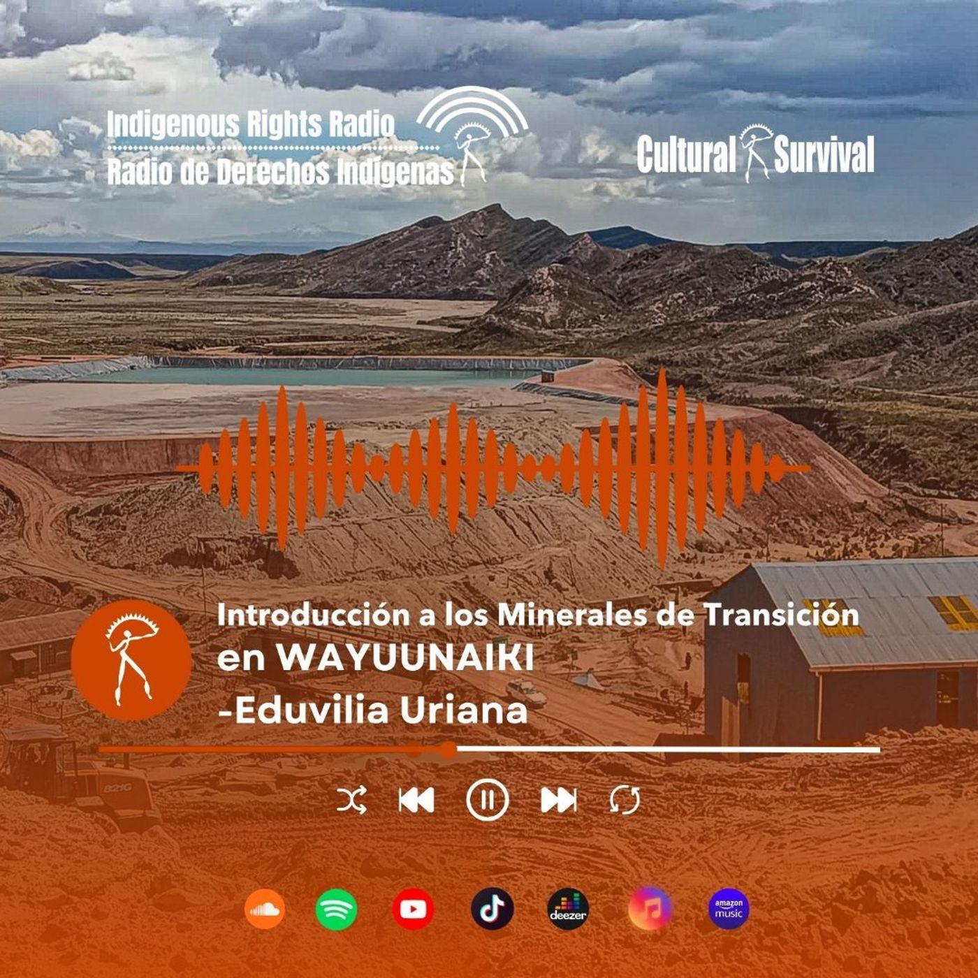 Introducción a los Minerales de Transición  - wayuunaiki episode artwork