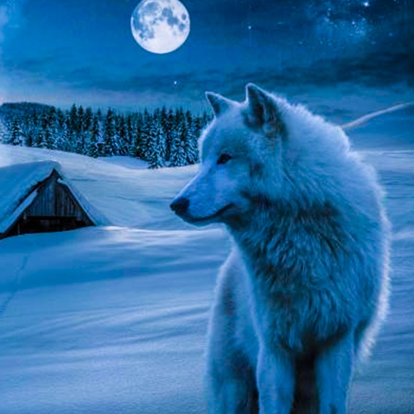 Tra la neve e il vento - Racconti Horror episode artwork