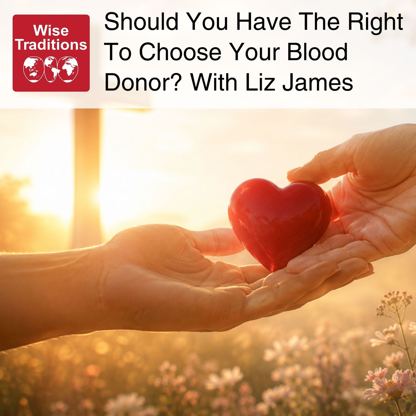 597: Should You Have The Right to Choose Your Blood Donor? With Liz James episode artwork