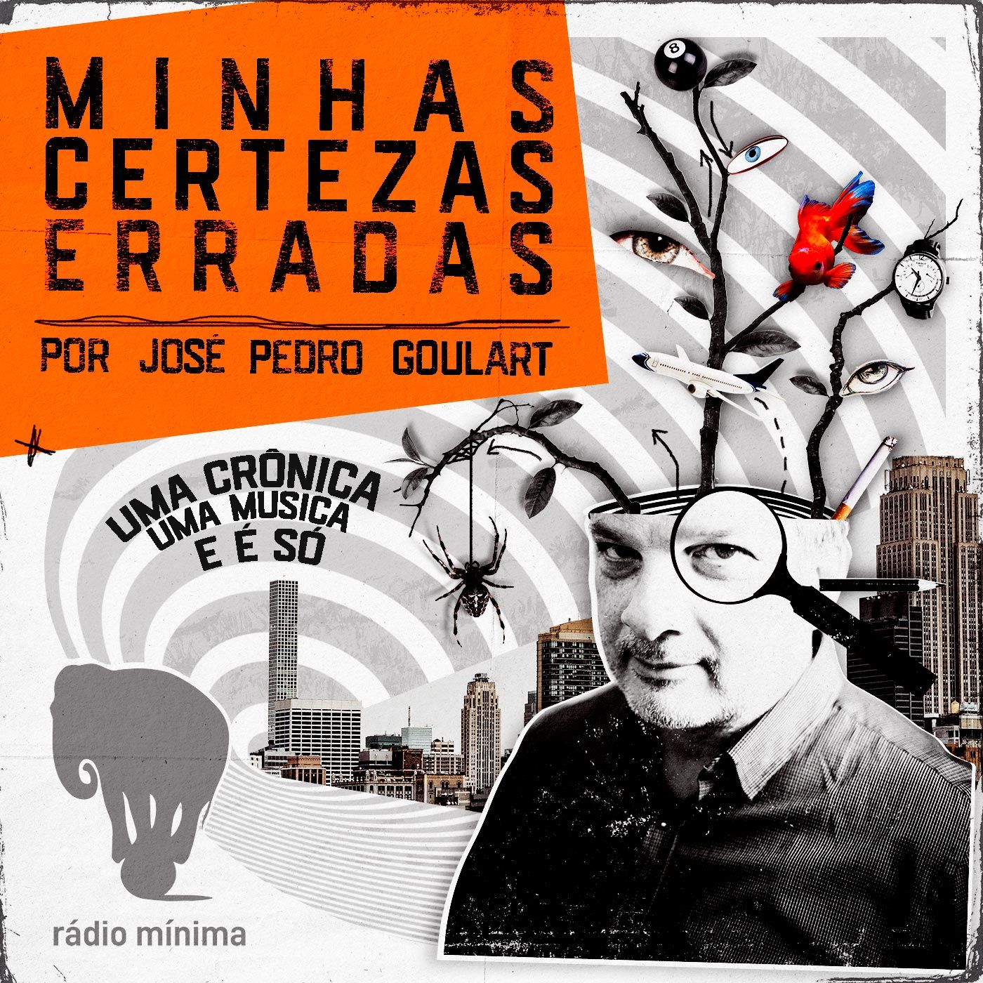 Minhas Certezas Erradas