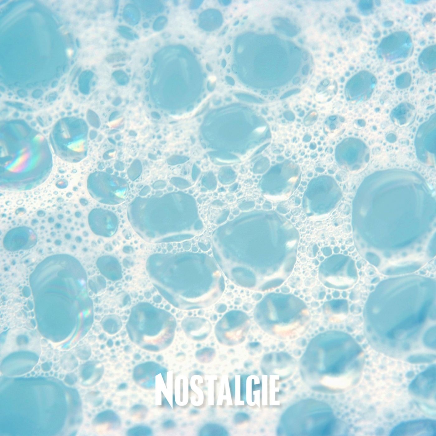 Toussaint : aquamation, planter un arbre... les nouvelles façons de dire adieu Toussaint : aquamation, planter un arbre... les nouvelles façons de dire adieu