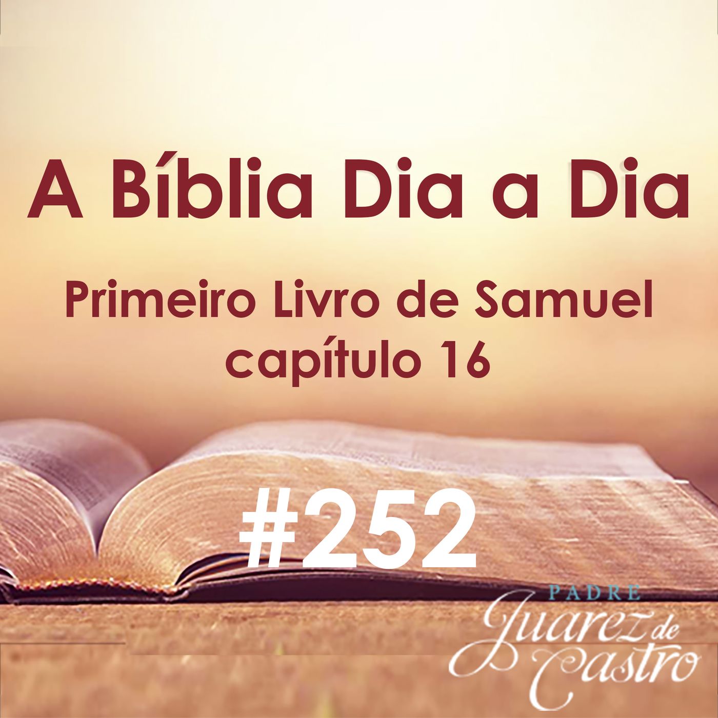 Curso Bíblico Padre Juarez
