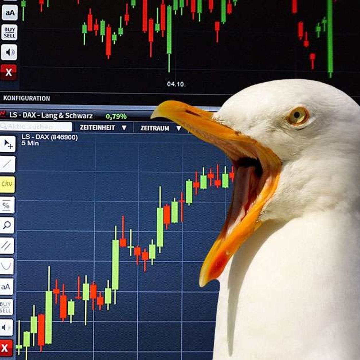 Turtle Road - Finanza e Investimenti
