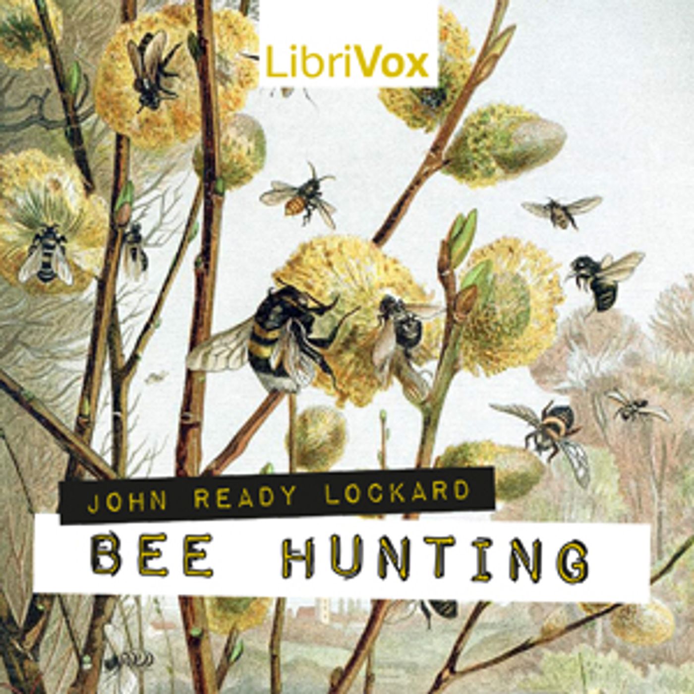 Bee Hunting by John Ready Lockard (1858 - 1925)