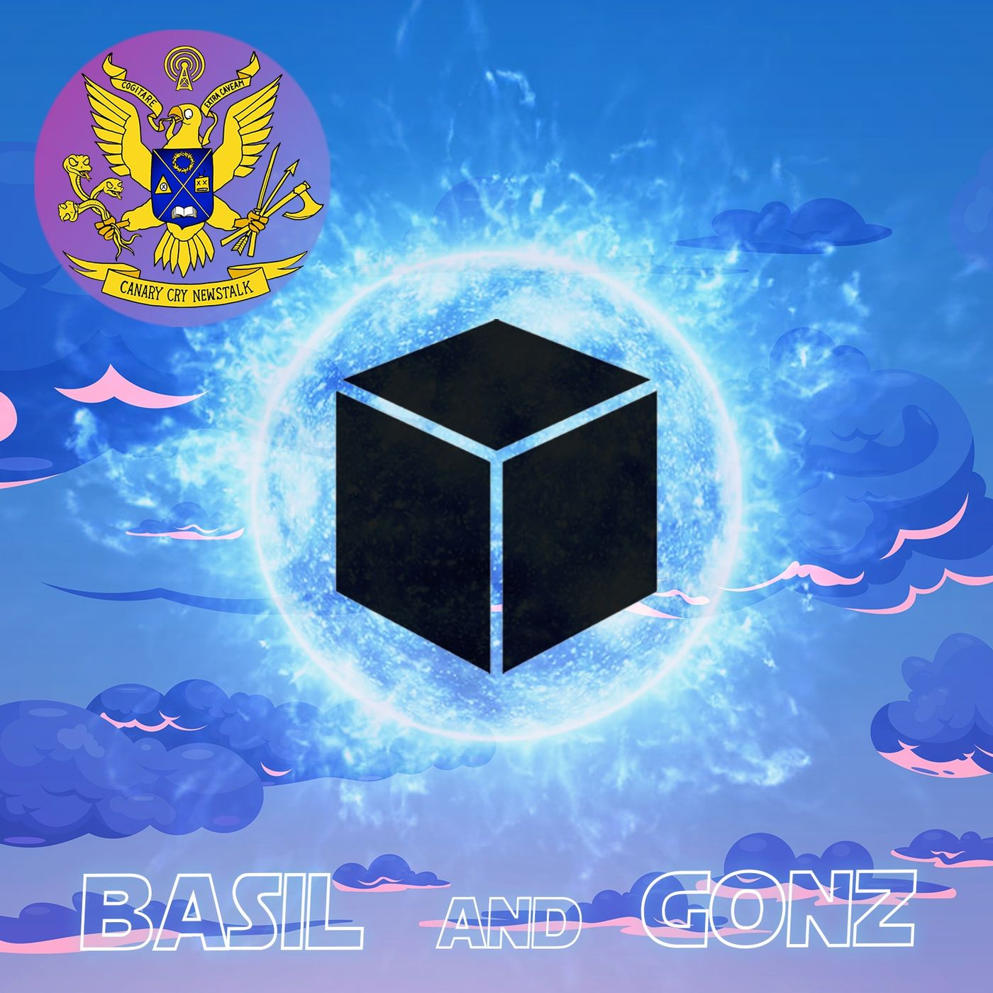 BLACK BOX IN SKY