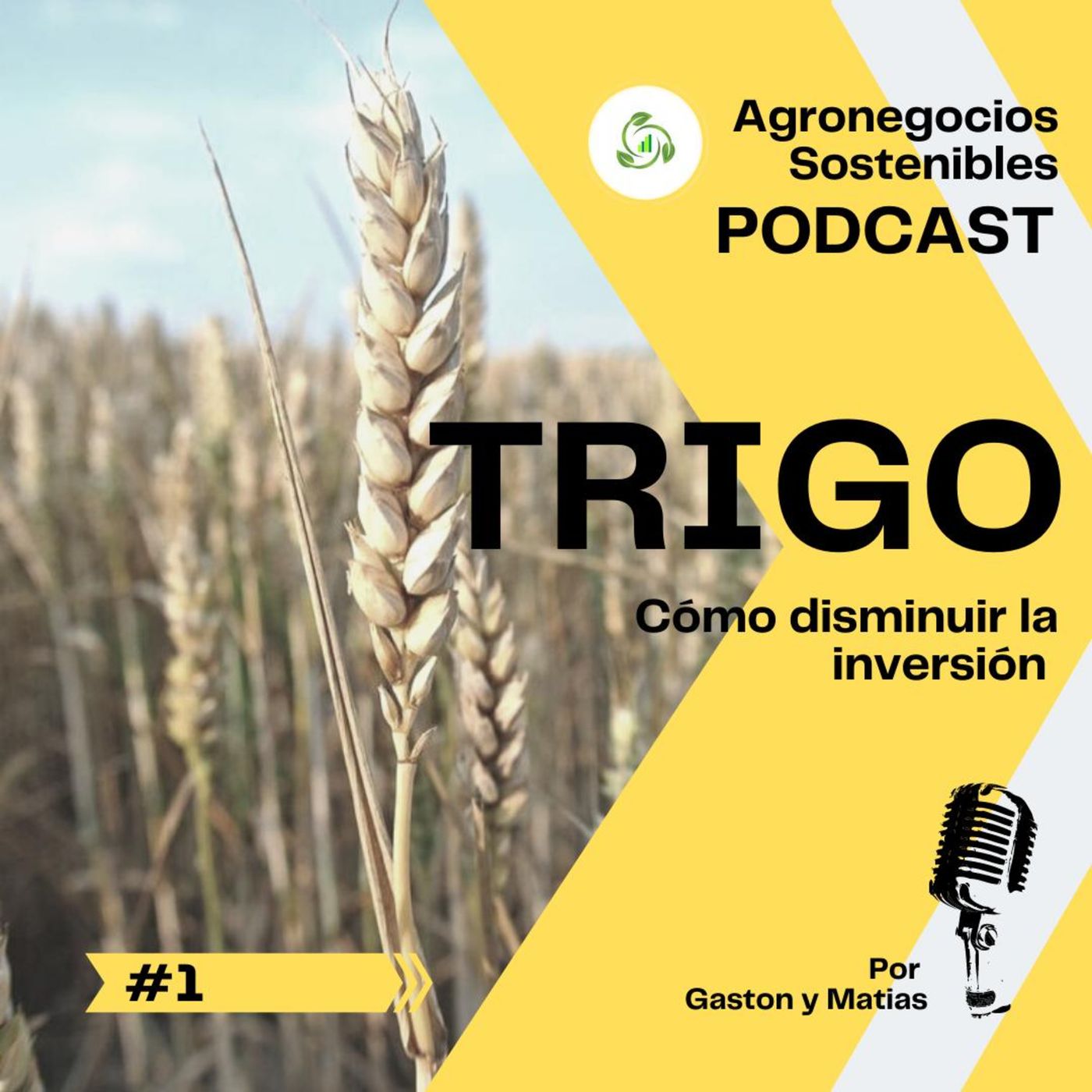 PENSANDO EL AGRO