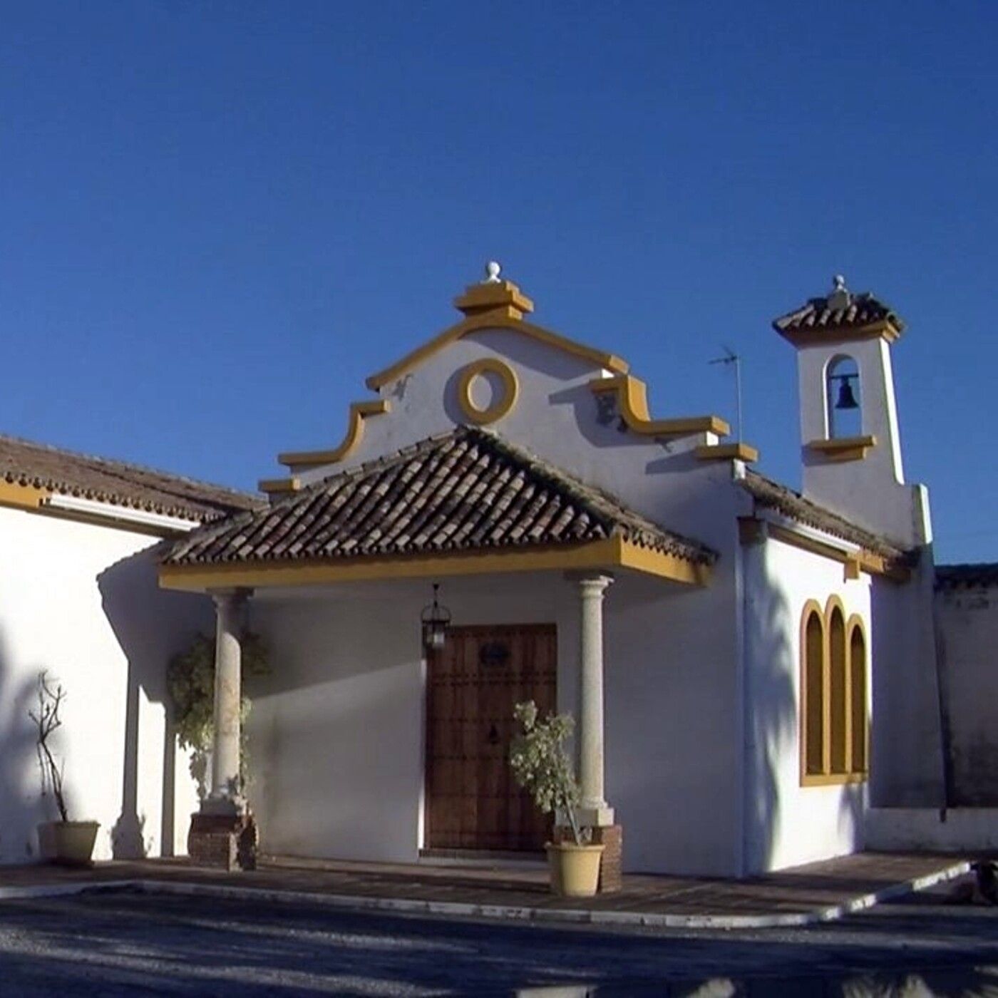 Crónicas de San Pedro Alcántara