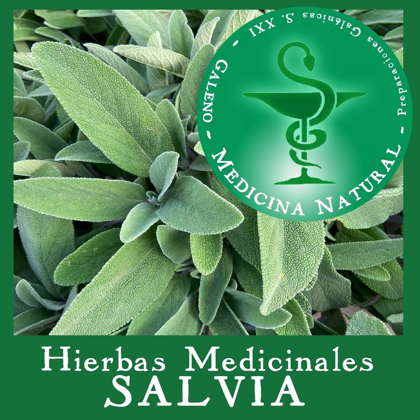 Medicina Natural