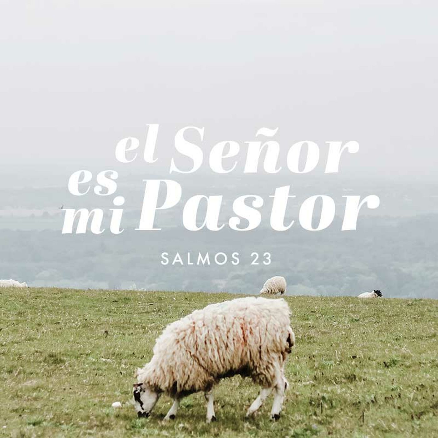 Seis versículos poderosos