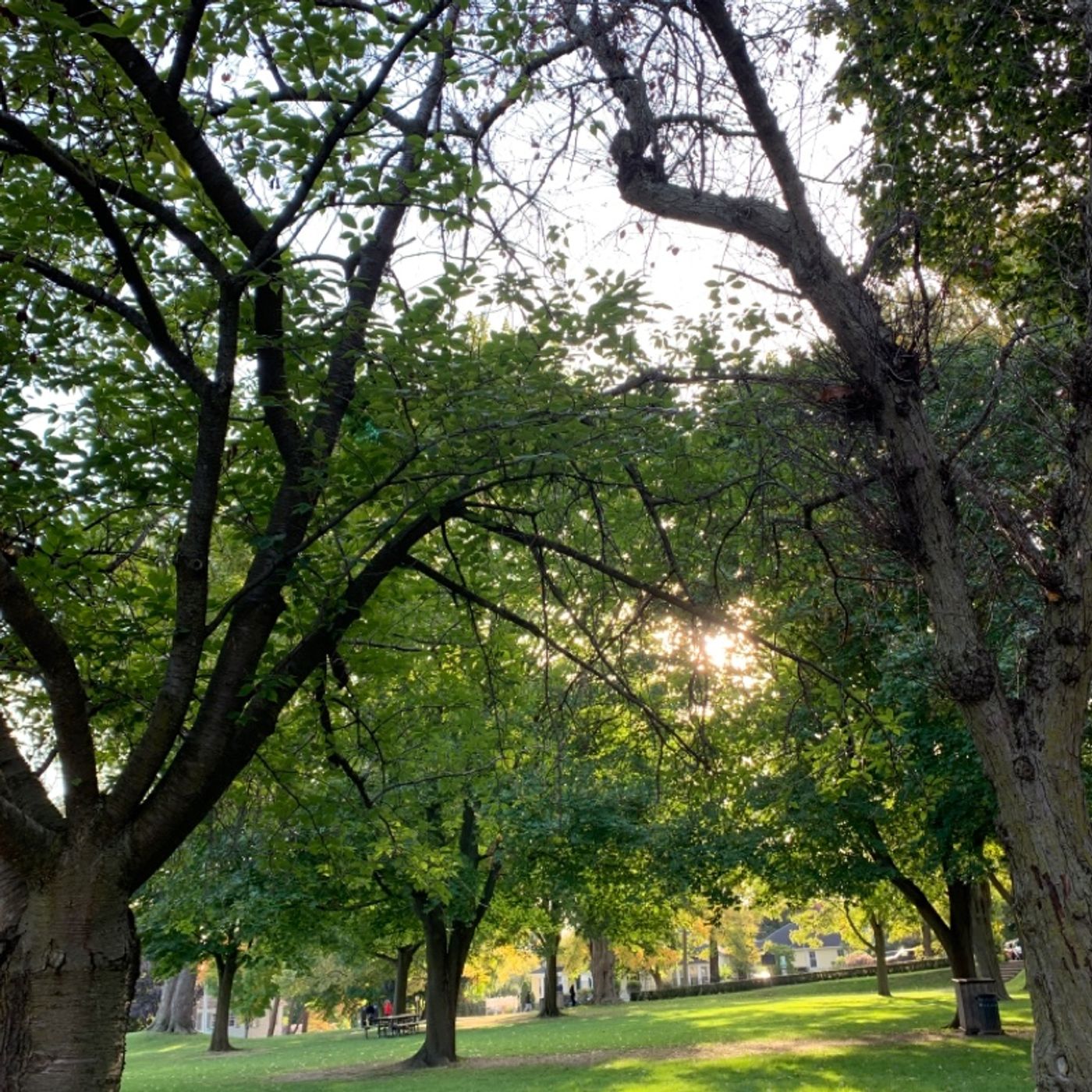 Prayer on the Go! - with Bishop Deb