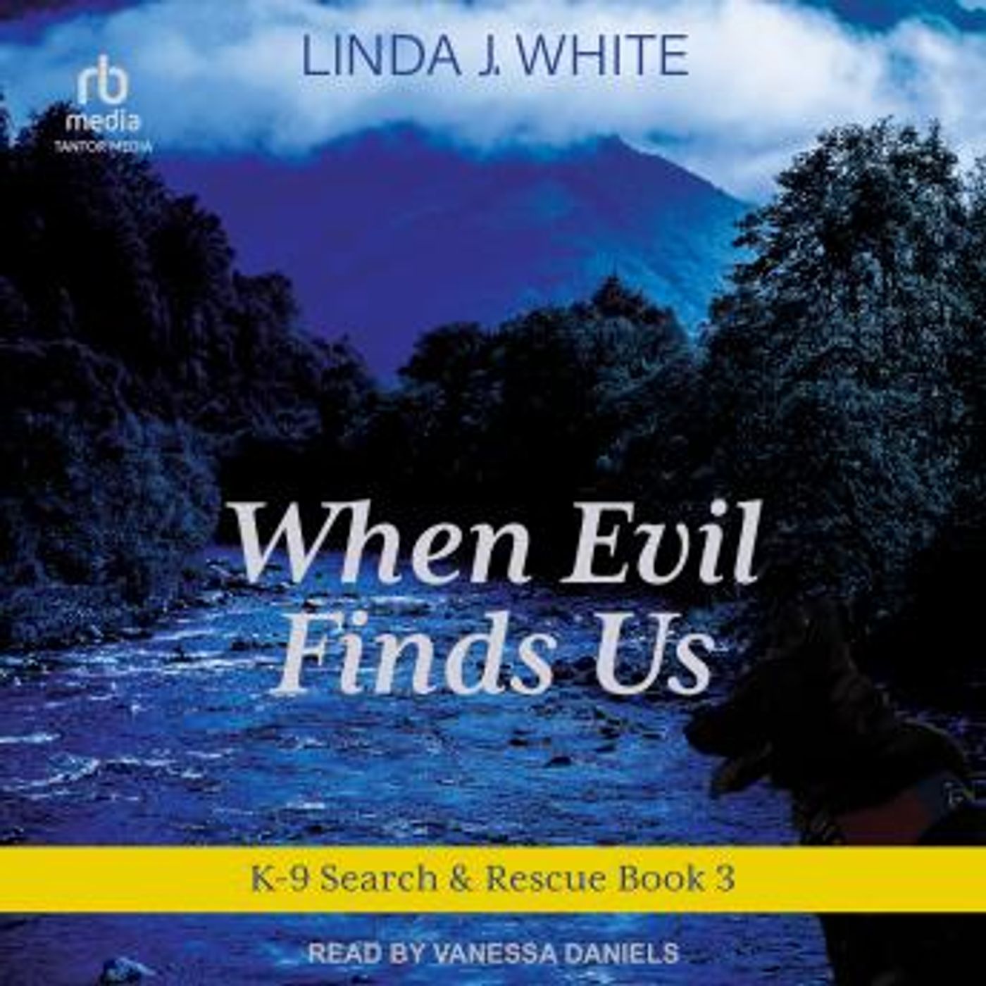 Discover the Best Audio Stories in Mystery, Thriller & Horror, Police & Detective