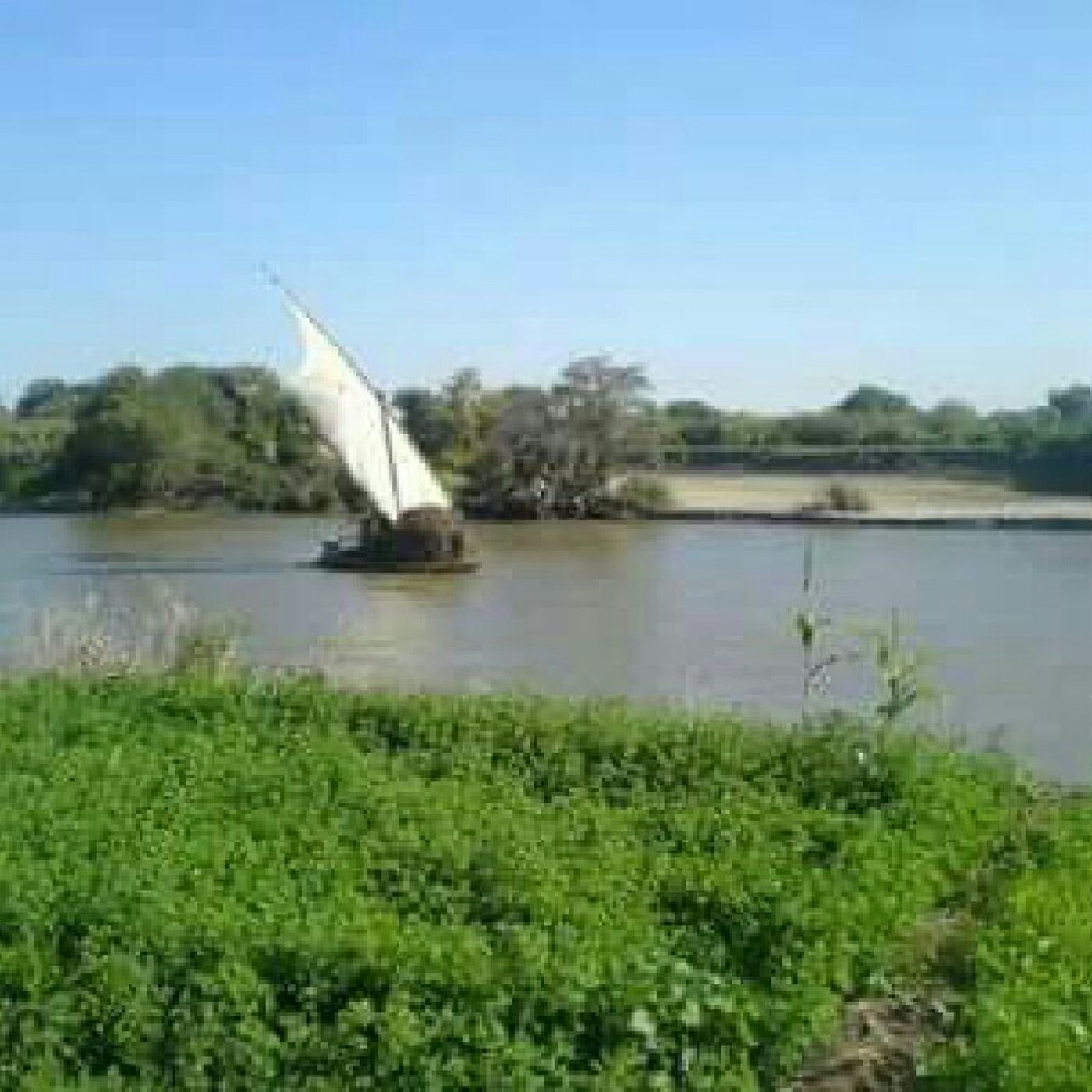 بث