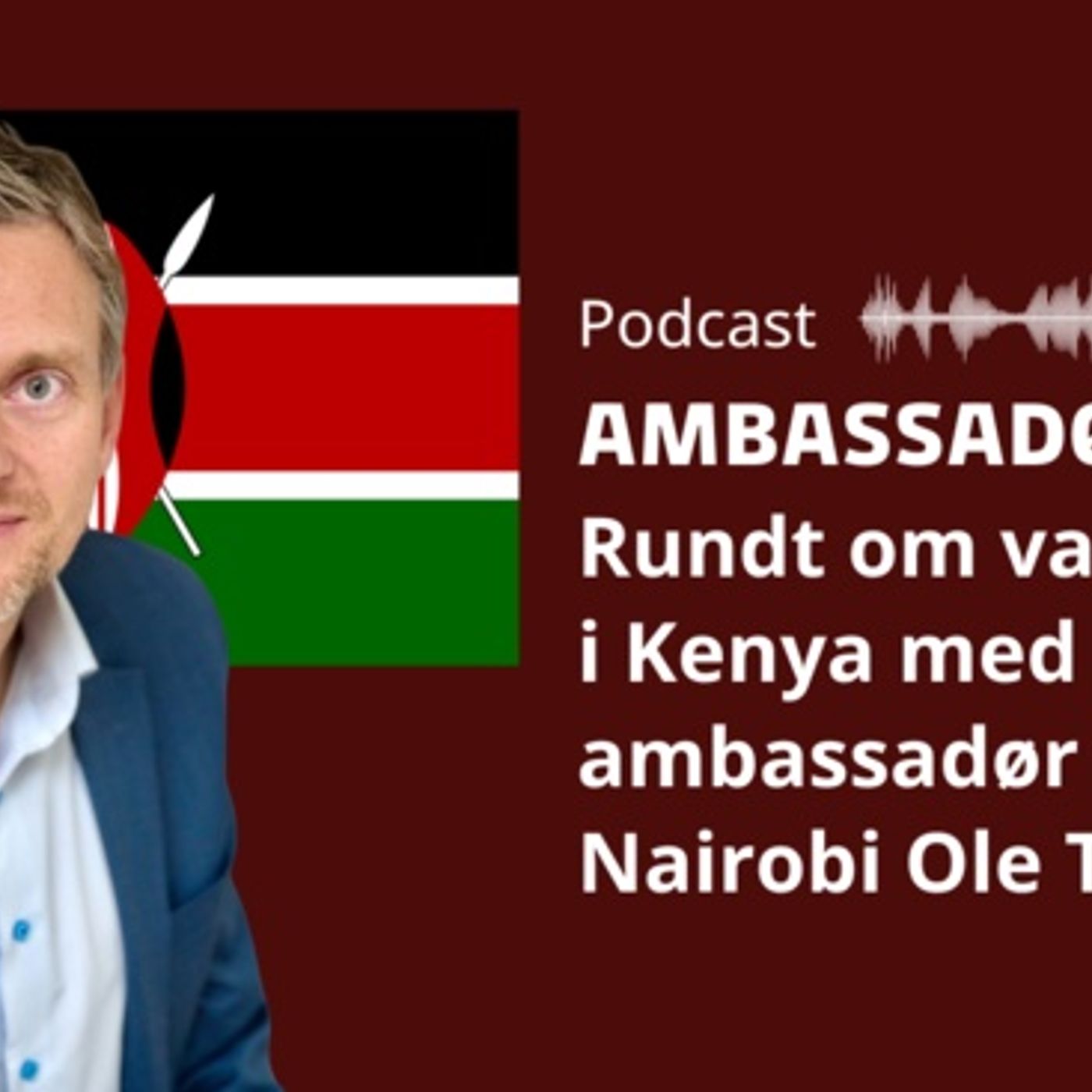 Ambassadørerne