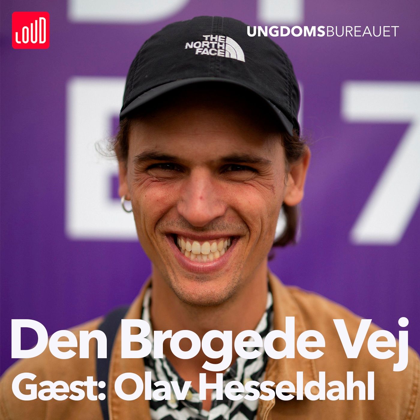 Den Brogede Vej