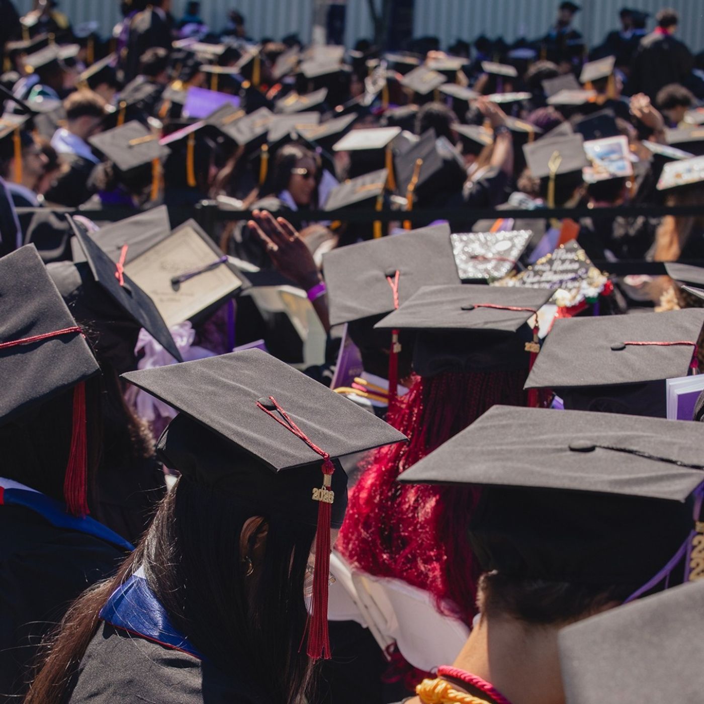 The Young Economic Populists Reshaping the Left — Deborah Lebree's podcast cover