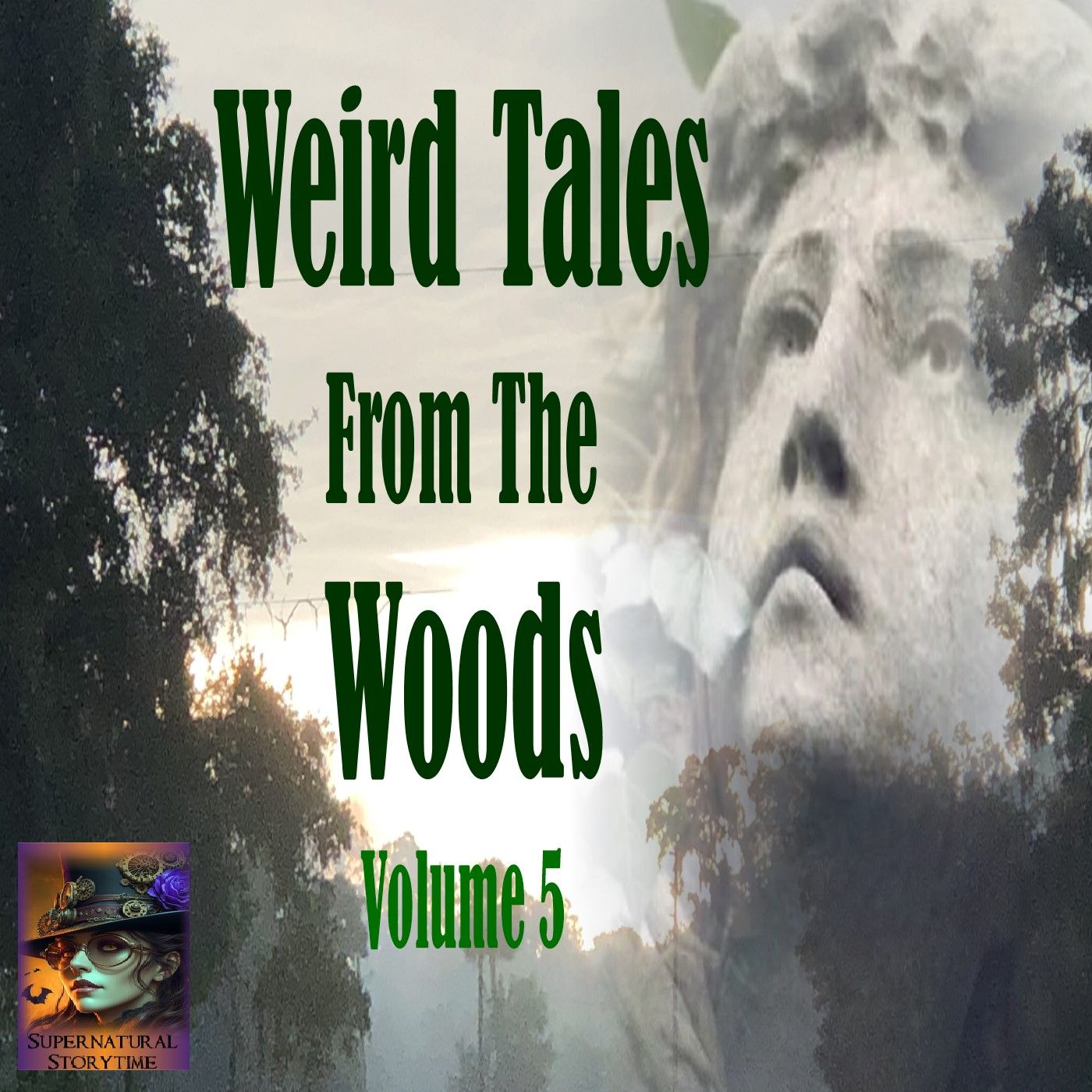 Weird Tales from the Woods | Volume 5 | Podcast E361