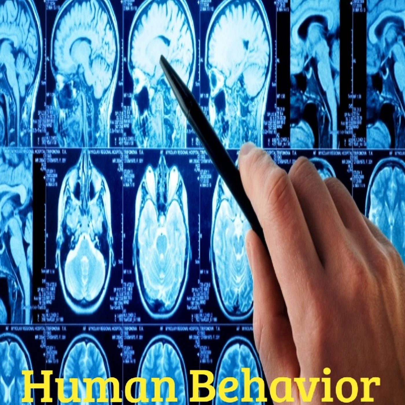 Human Behavior. Episode 31 - Dark Skies News And information episode artwork