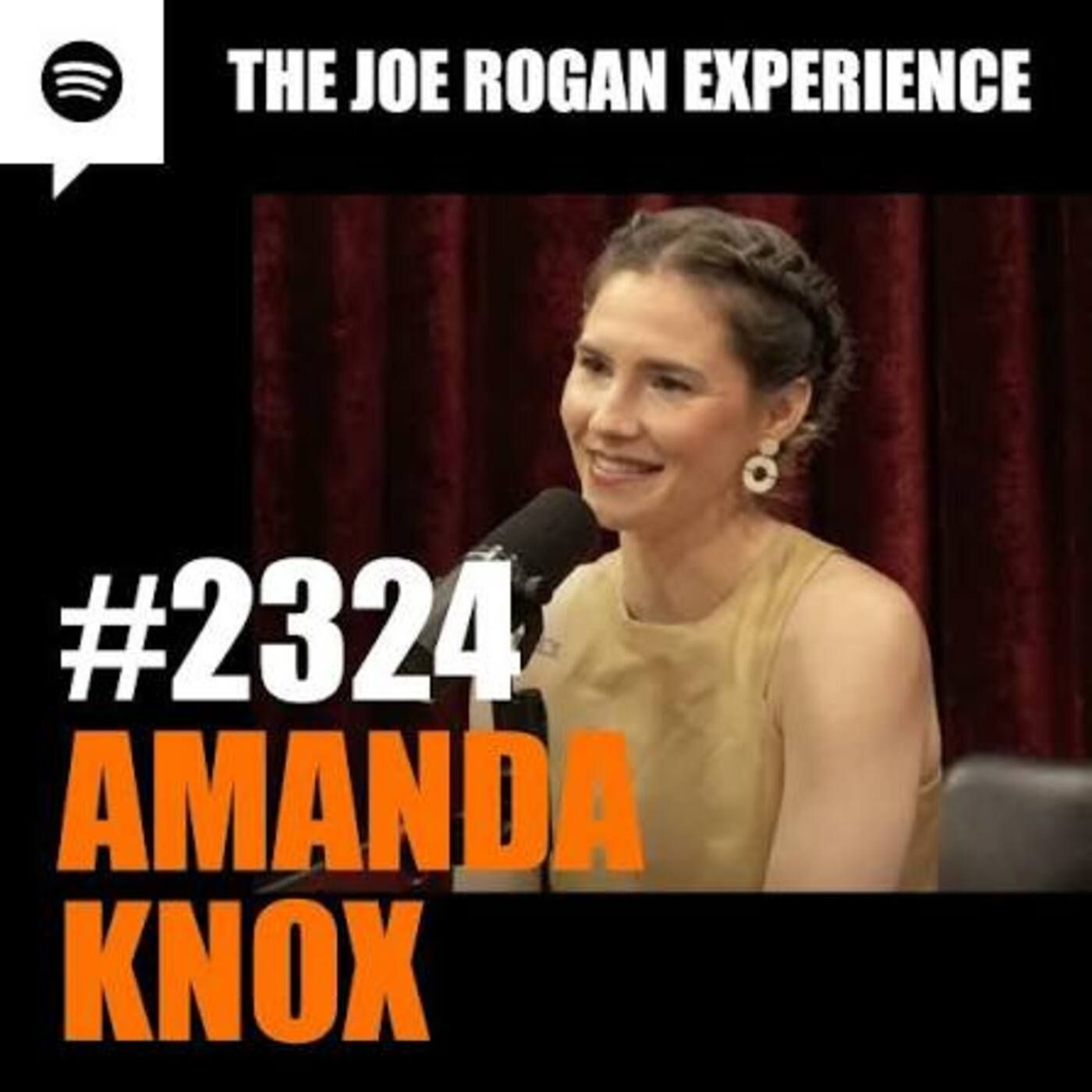 Joe Rogan Experience _2324 - Amanda Knox(M4A_128K)