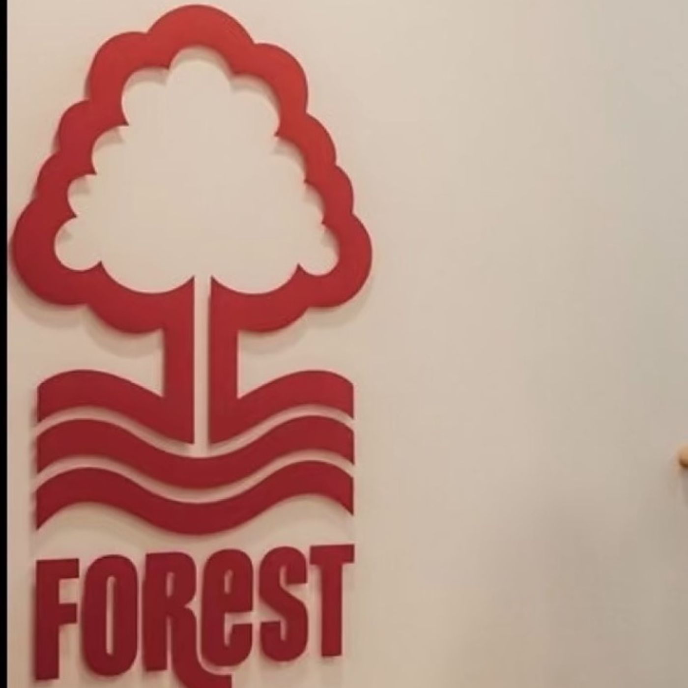 S74E37: I Mean Suddenly This Season It All Gone To Dust - Trevor Gear On Nottingham Forest's Dilemma