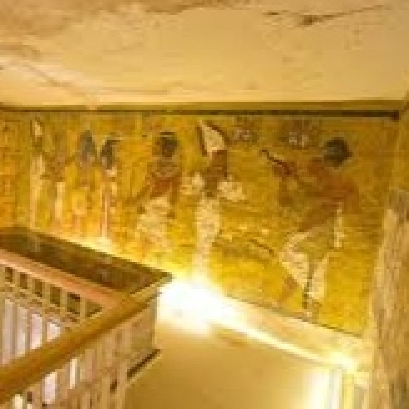 Luces en la Oscuridad